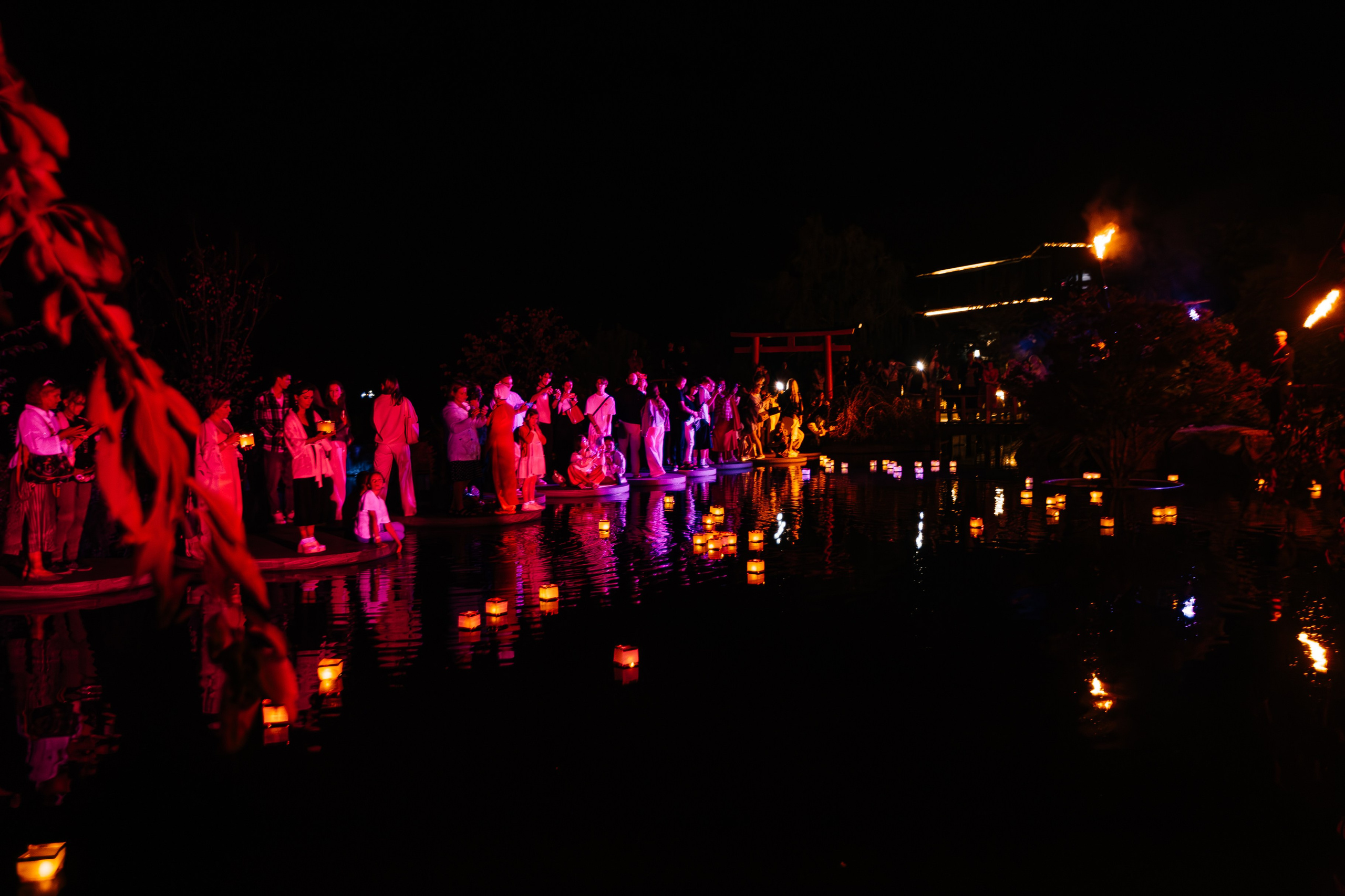 Мрия_Японский_сад_5.10.2024. Аминов Руслан | Фотограф