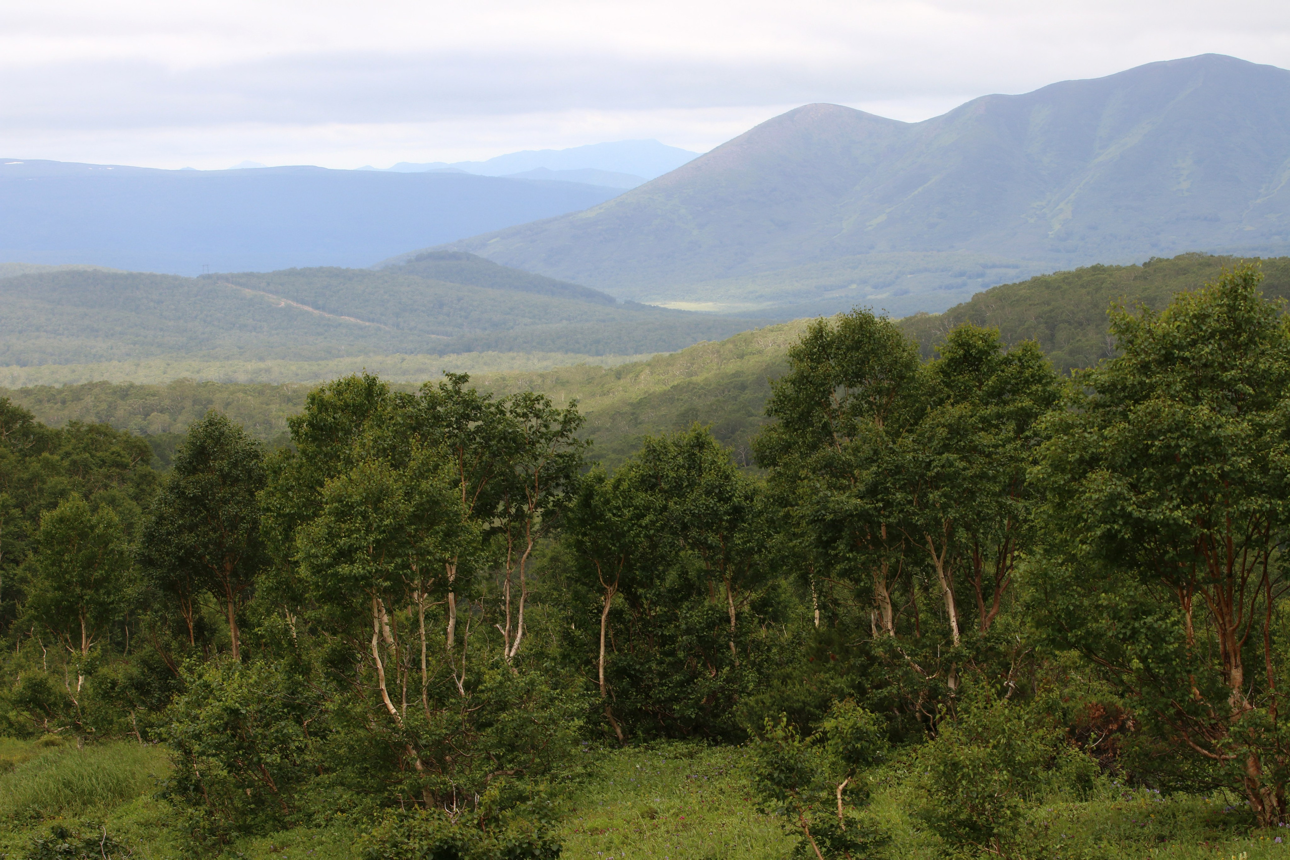 Камчатка и о. Парамушир. Июль 2024. Путешественник-фотограф из Санкт-Петербурга Татьяна Свистулина