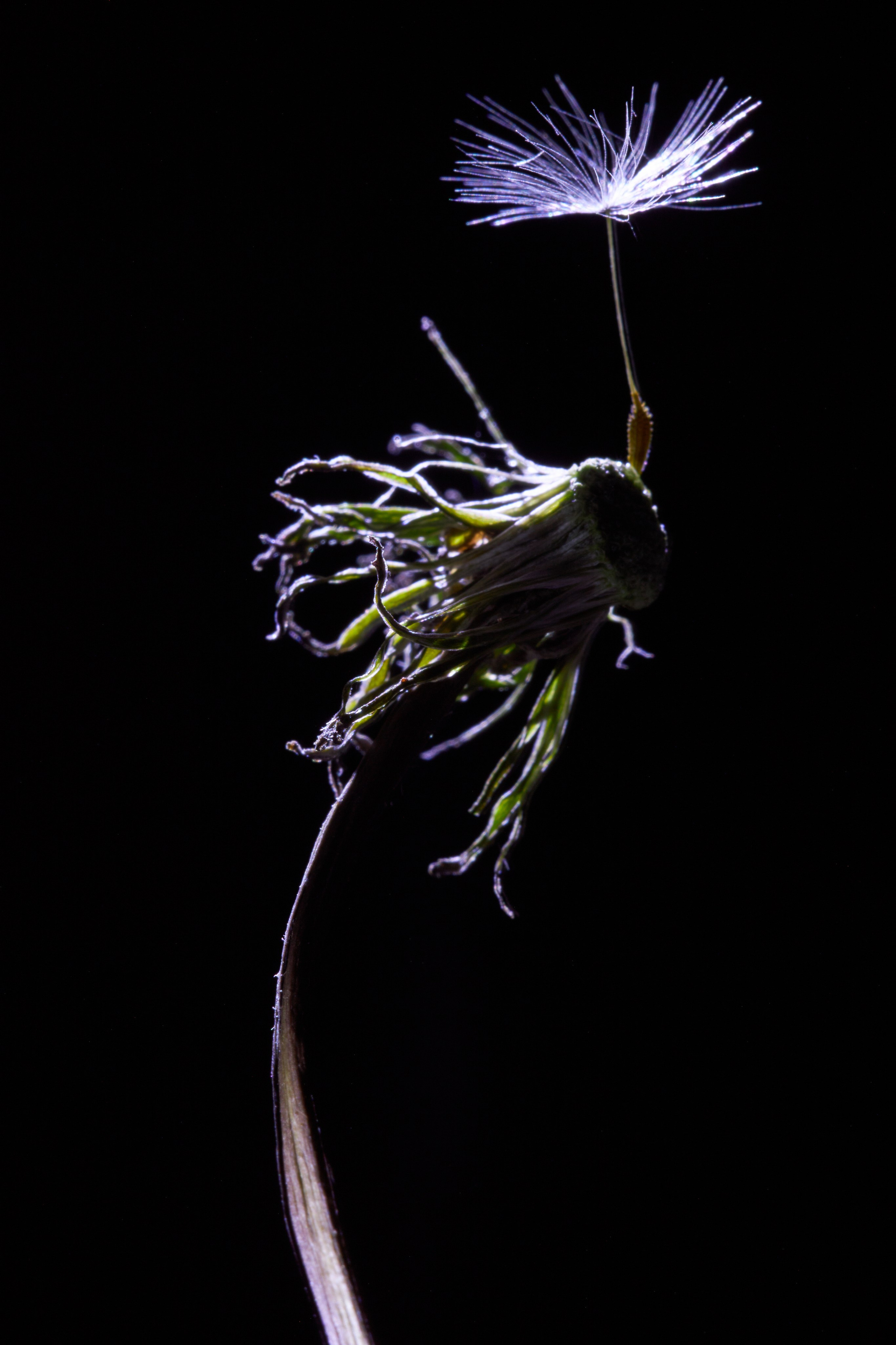 «Красок Тьма Полна». Арт-фотограф во Владивостоке Дмитрий Осипчук