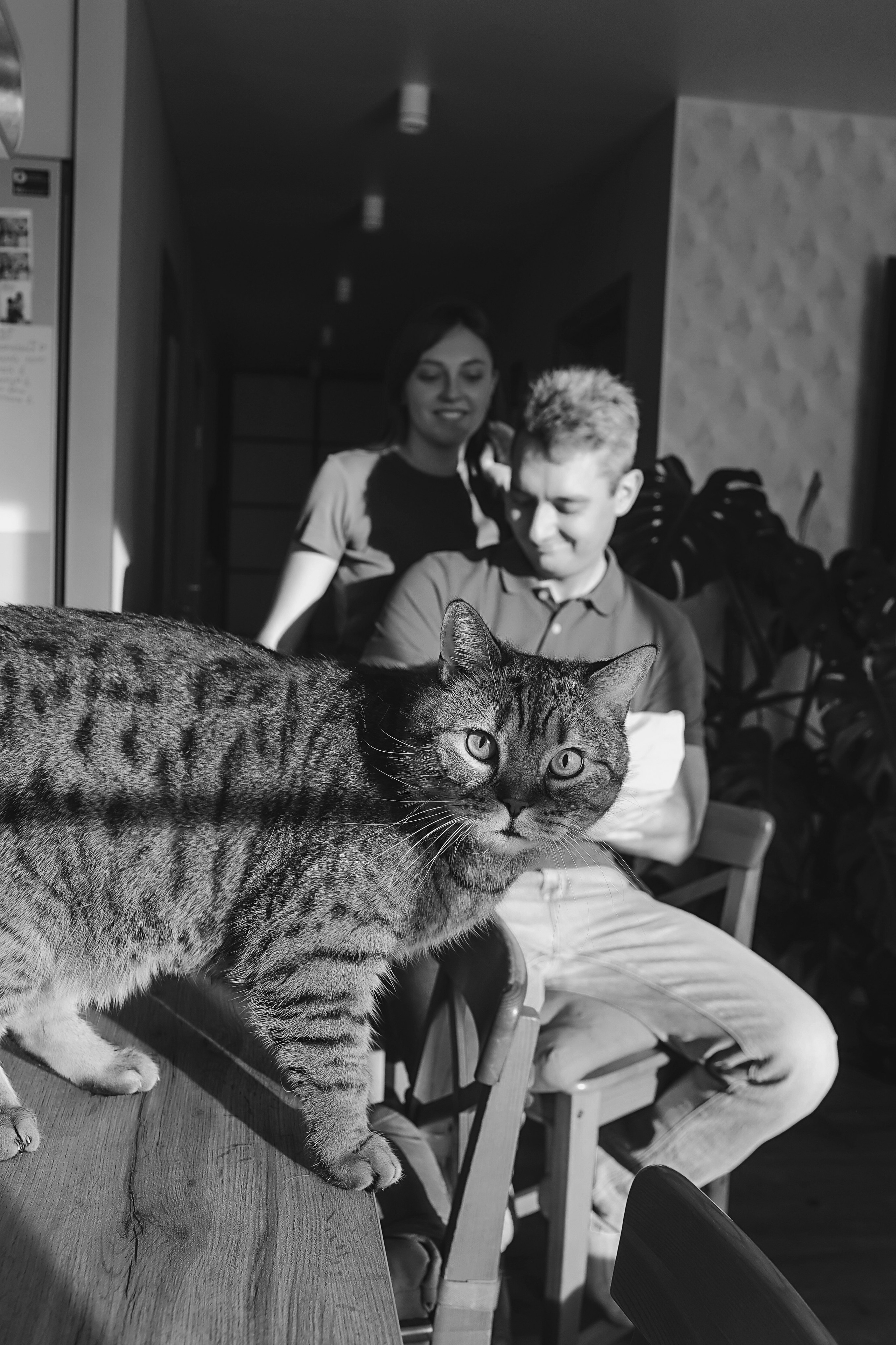 Ариша. Семейный фотограф Тюмень, фотограф на роды Салмина Мария