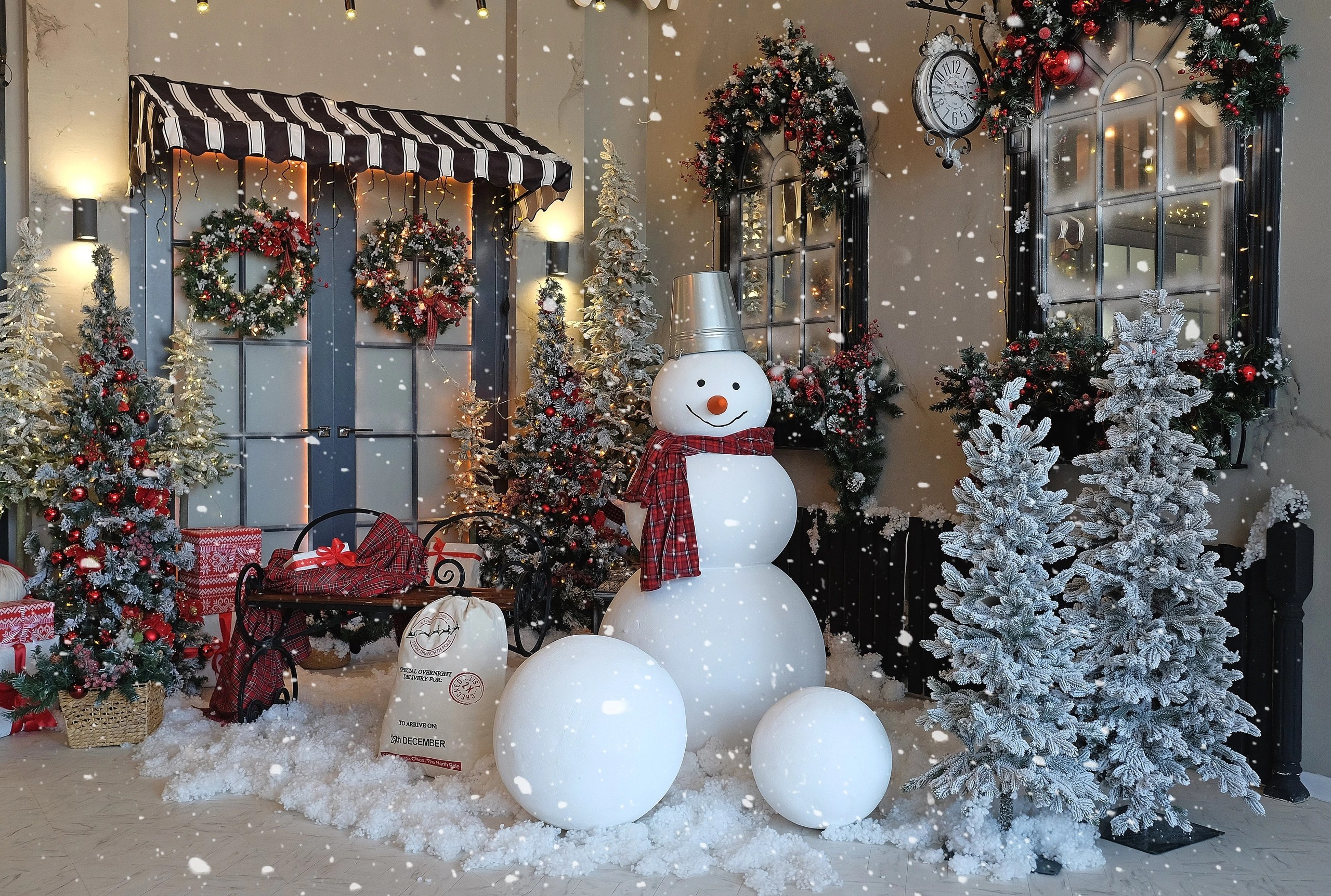 Bonjour Сказка. Лидия Фотограф Воронеж