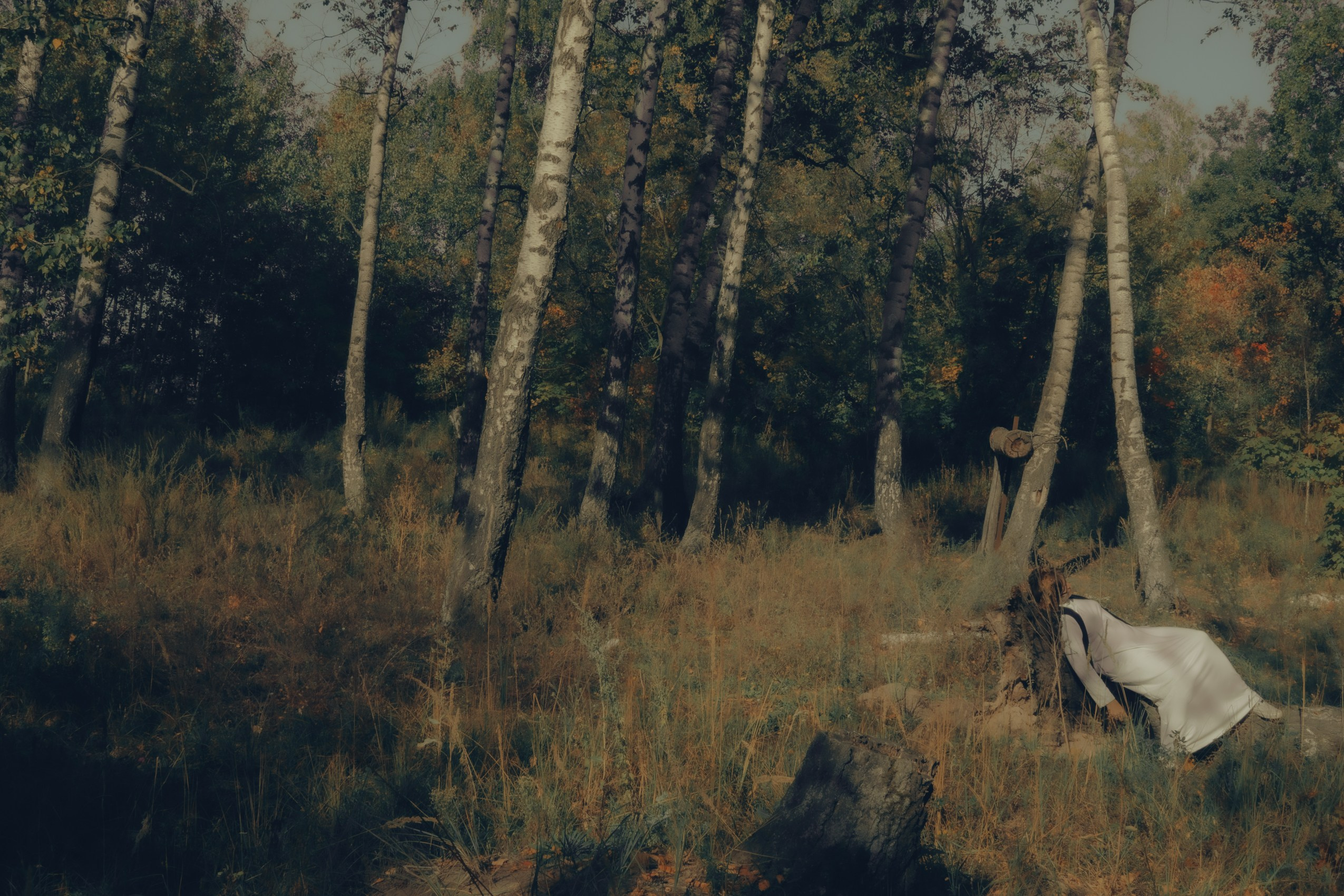 Спокойный фотосет в лесу, погулять в лесу с фотографом, фотосессии в Казани