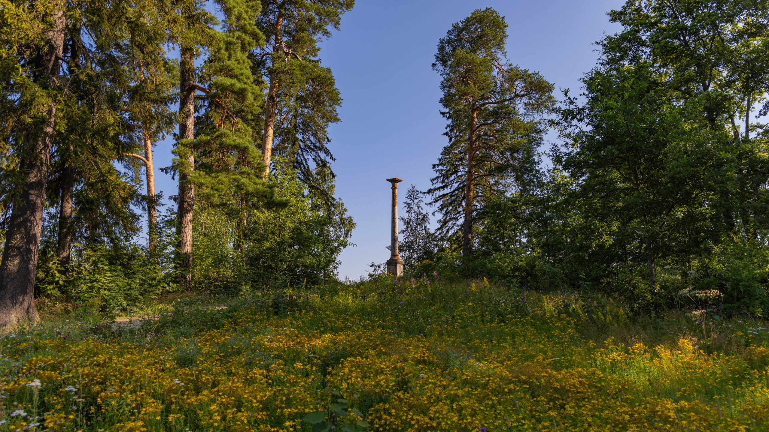 2025 07 Выборг — Сортавала — Великий Новгород — Псков. Фотографии