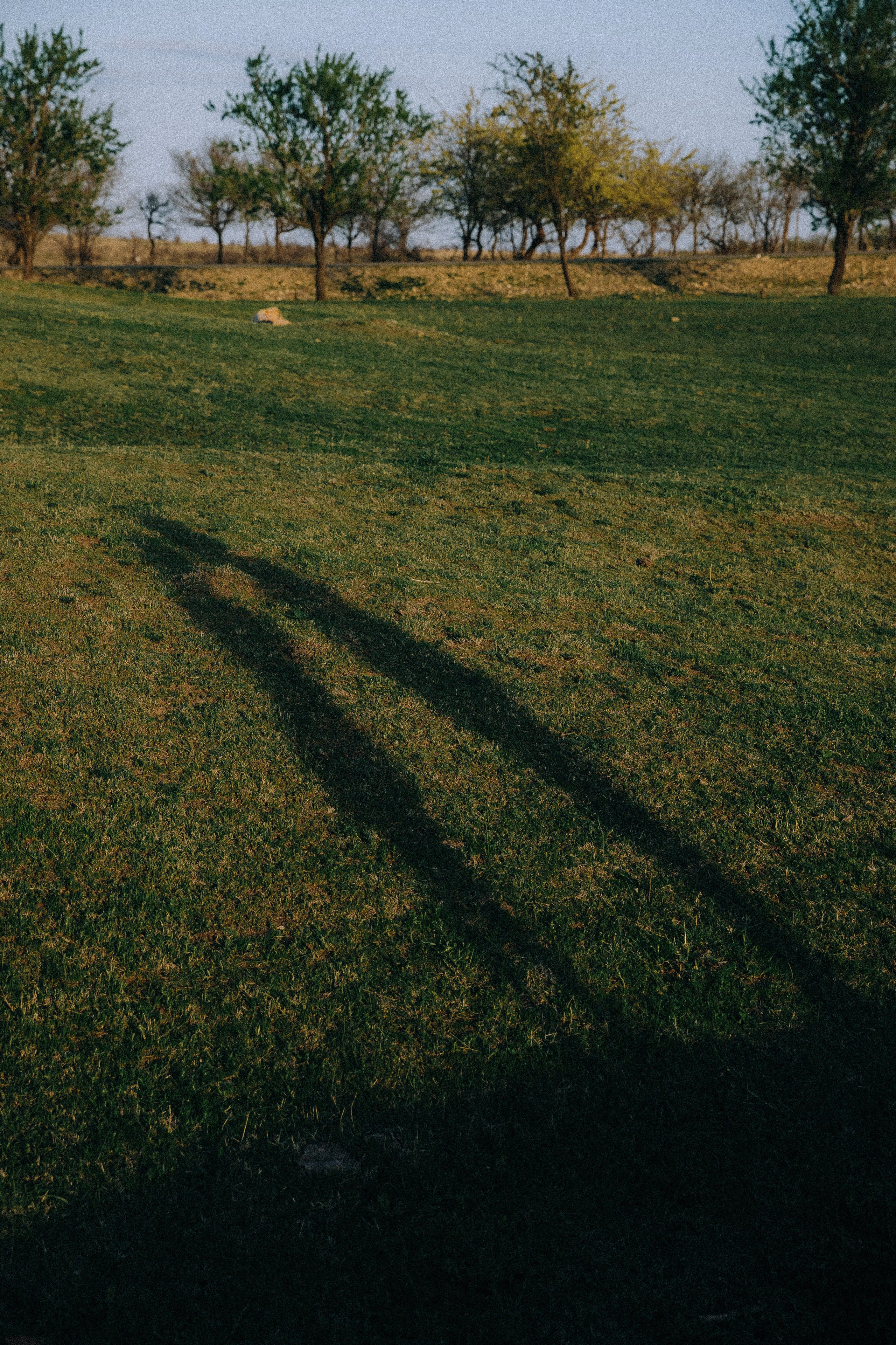 Свадебная фотосессия и роспись в Грузии Тбилиси. Свадебный фотограф Грузия Тбилиси