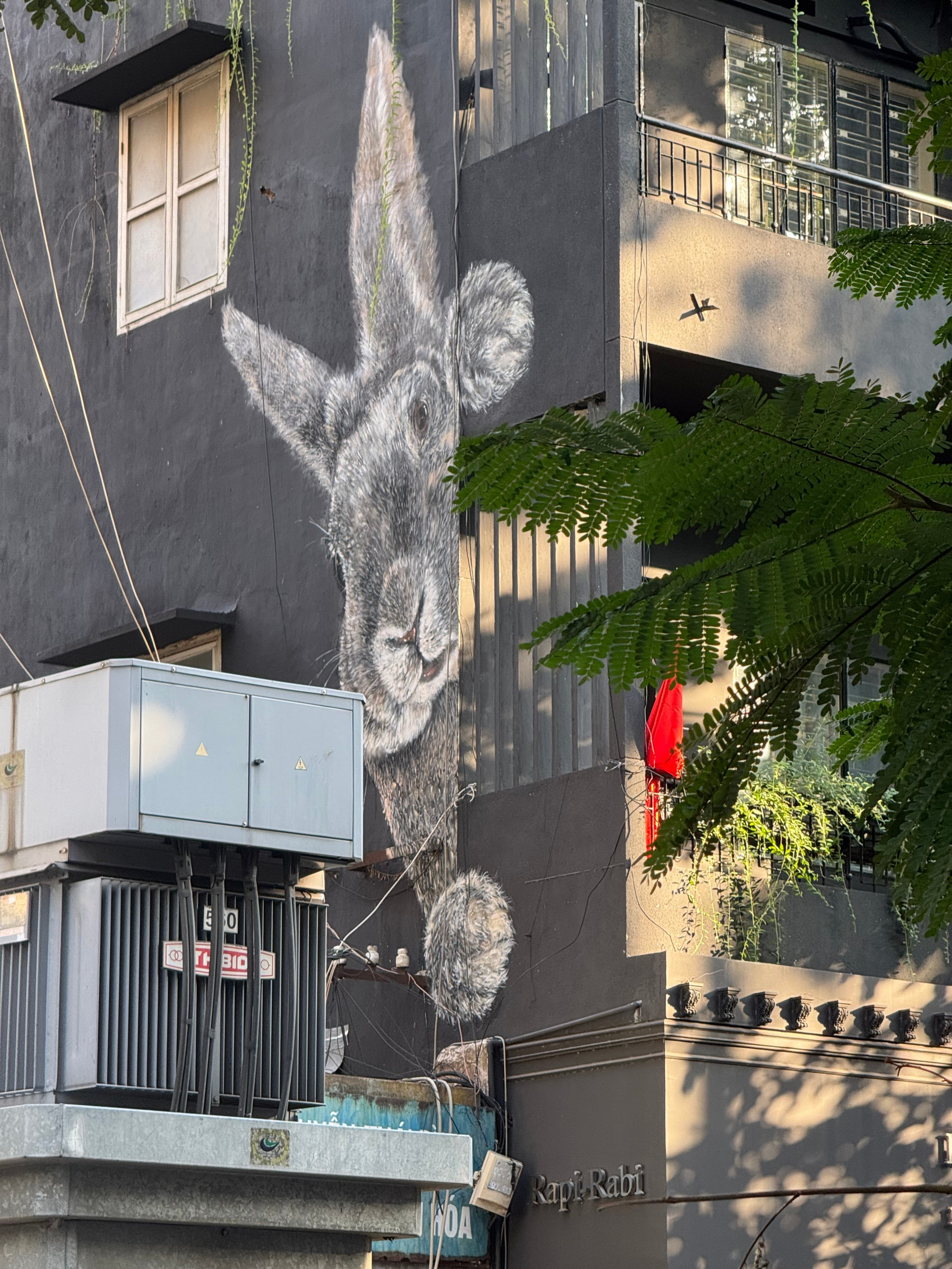 Вьетнам.Хошимин 2025. А вот и да!