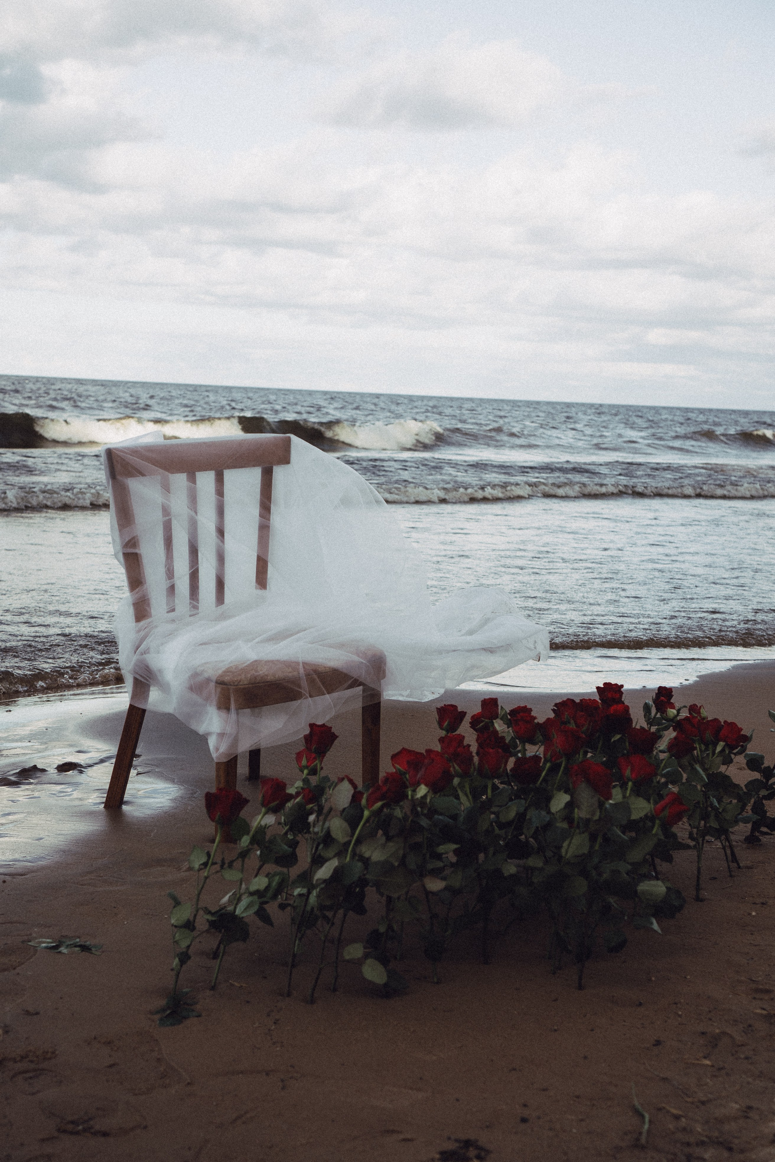 Розы. Профессиональный фотограф, Санкт-Петербург — Виктория Богомолова