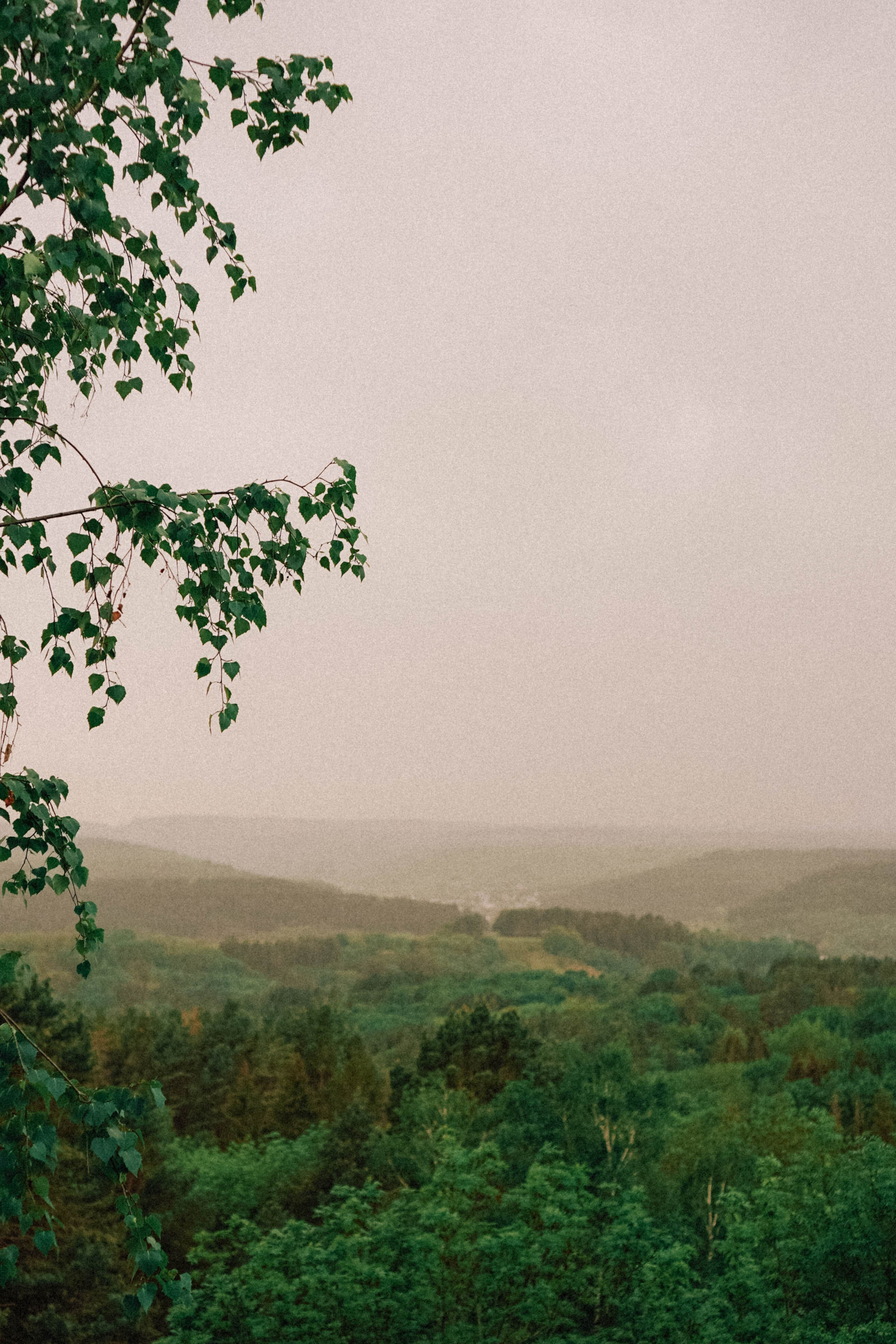 КИСЛОВОДСК. Профессиональный фотограф, Санкт-Петербург — Виктория Богомолова