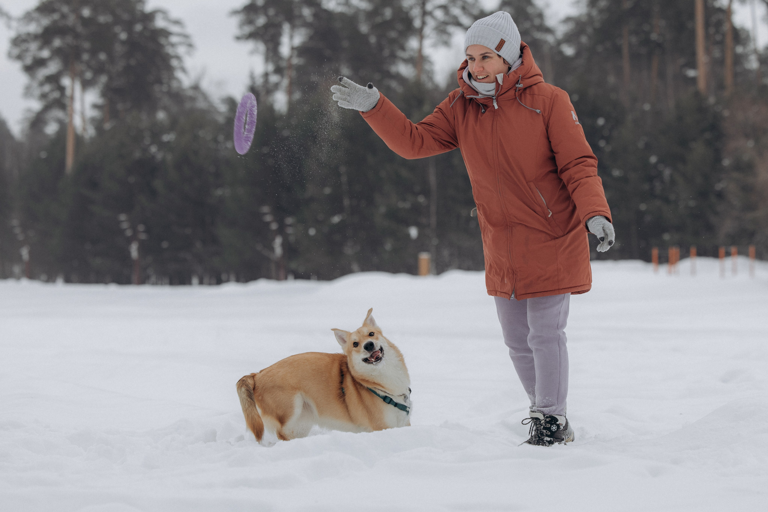 Прогулка на озере зимой. Фотограф анималист в Казани Алина Сулейманова. Фотограф животных