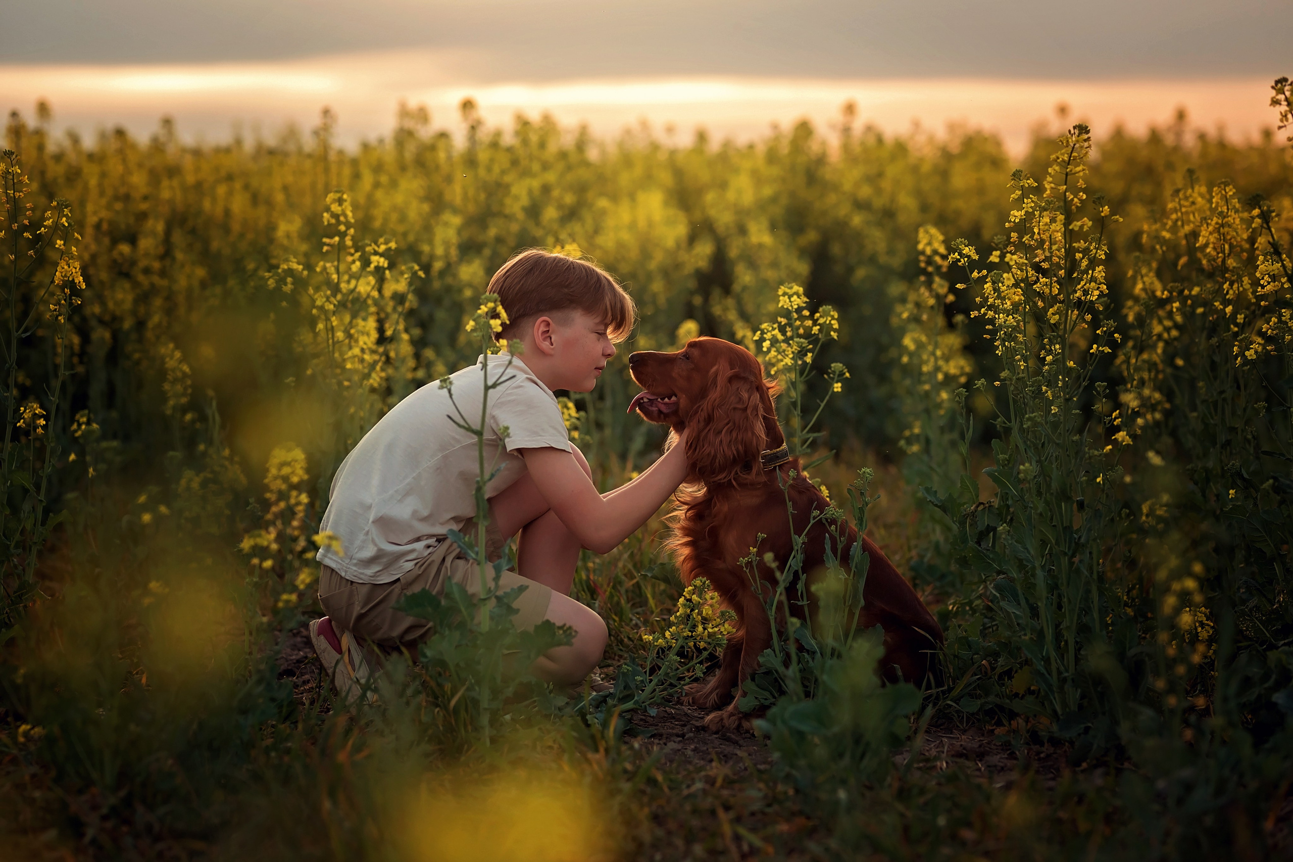 Рапс. Семейный и детский фотограф Екатерина Савёлова