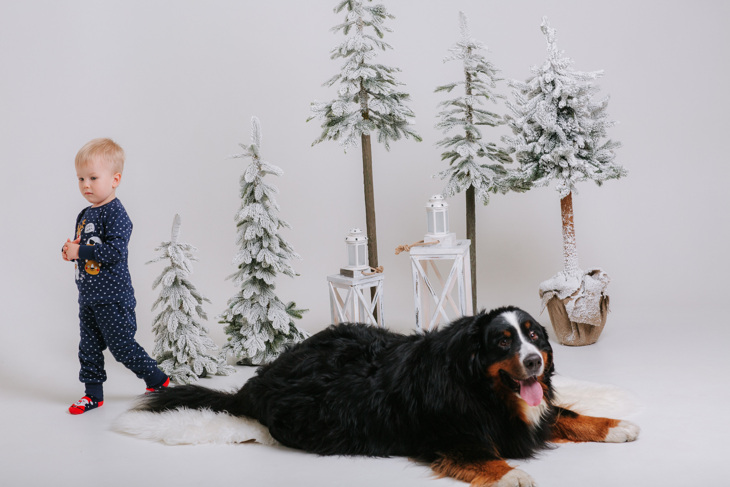 Отзывы. Свадебный, семейный фотограф в Дзержинске, Нижнем Новгороде Наталья Хр