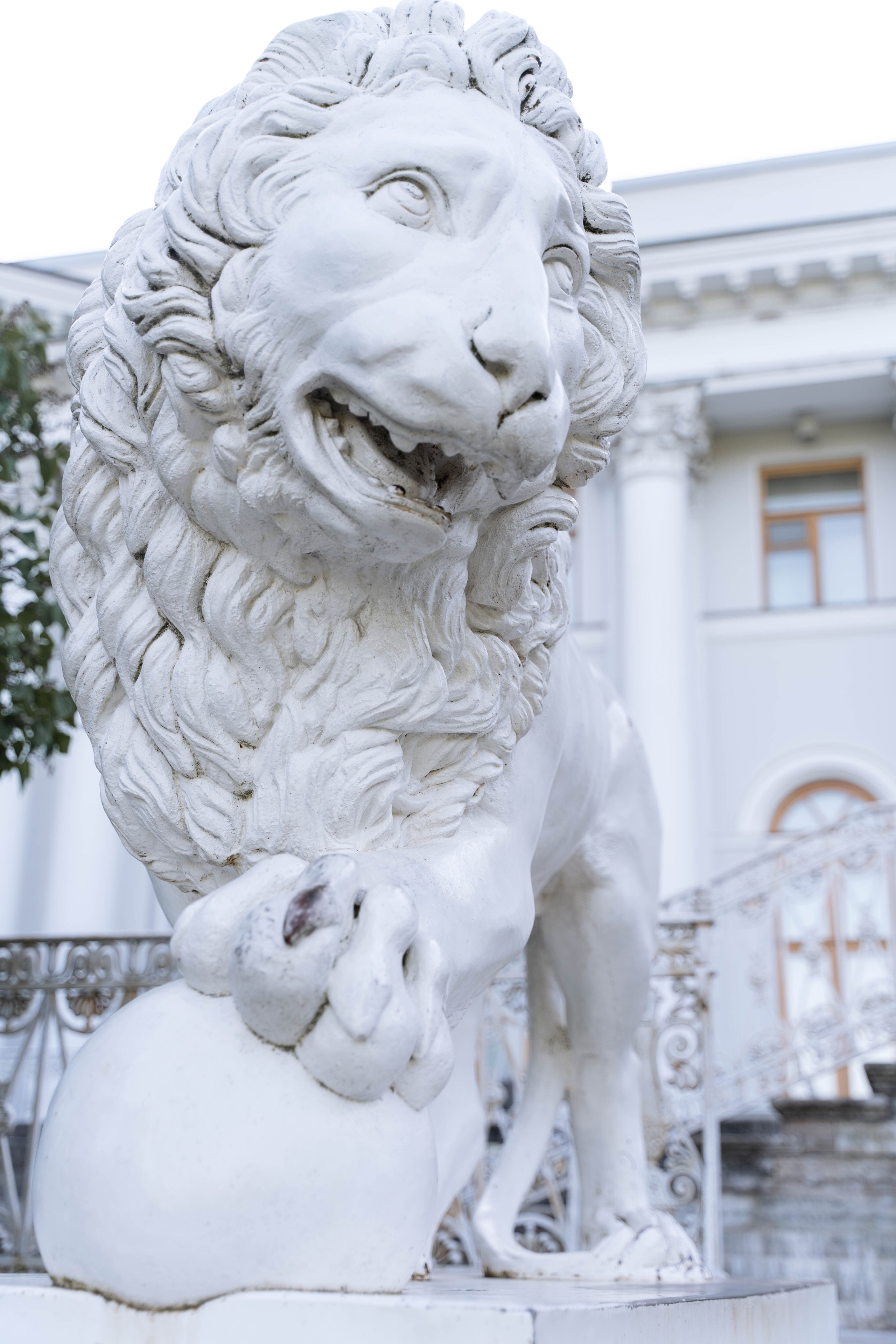 Свадебная фотосессия в Санкт-Петербурге. Свадебный фотограф в Краснодаре и Санкт-Петербурге Евгения Алексеева