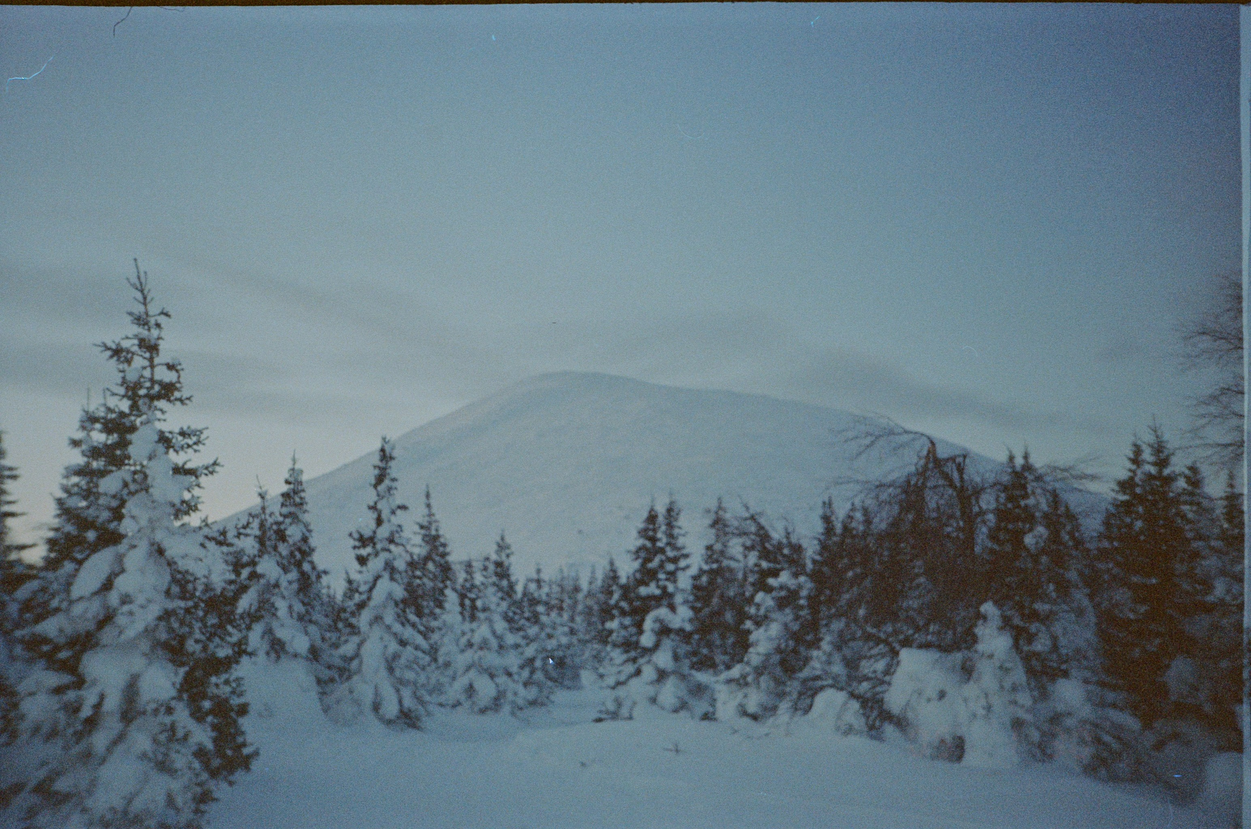 Пленочный фотограф в Москве | Necultured