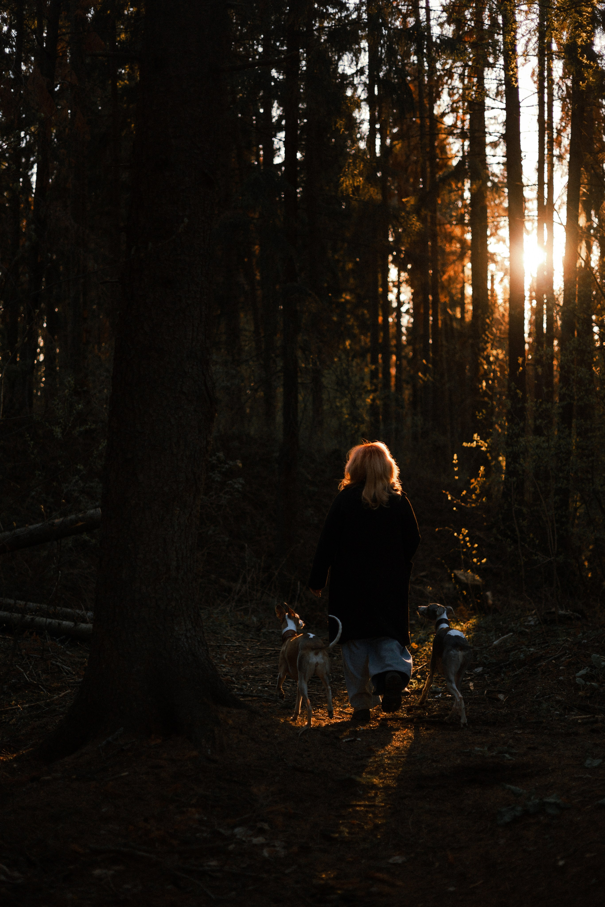 Вика, Джем и Белла. Фотограф-анималист Богданова Полина