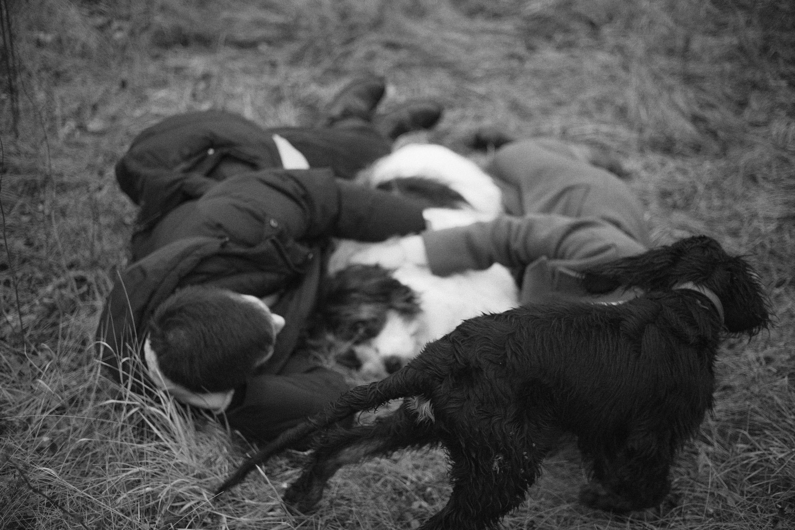 Даша, Глеб, Барс и Бруно. Фотограф-анималист Богданова Полина