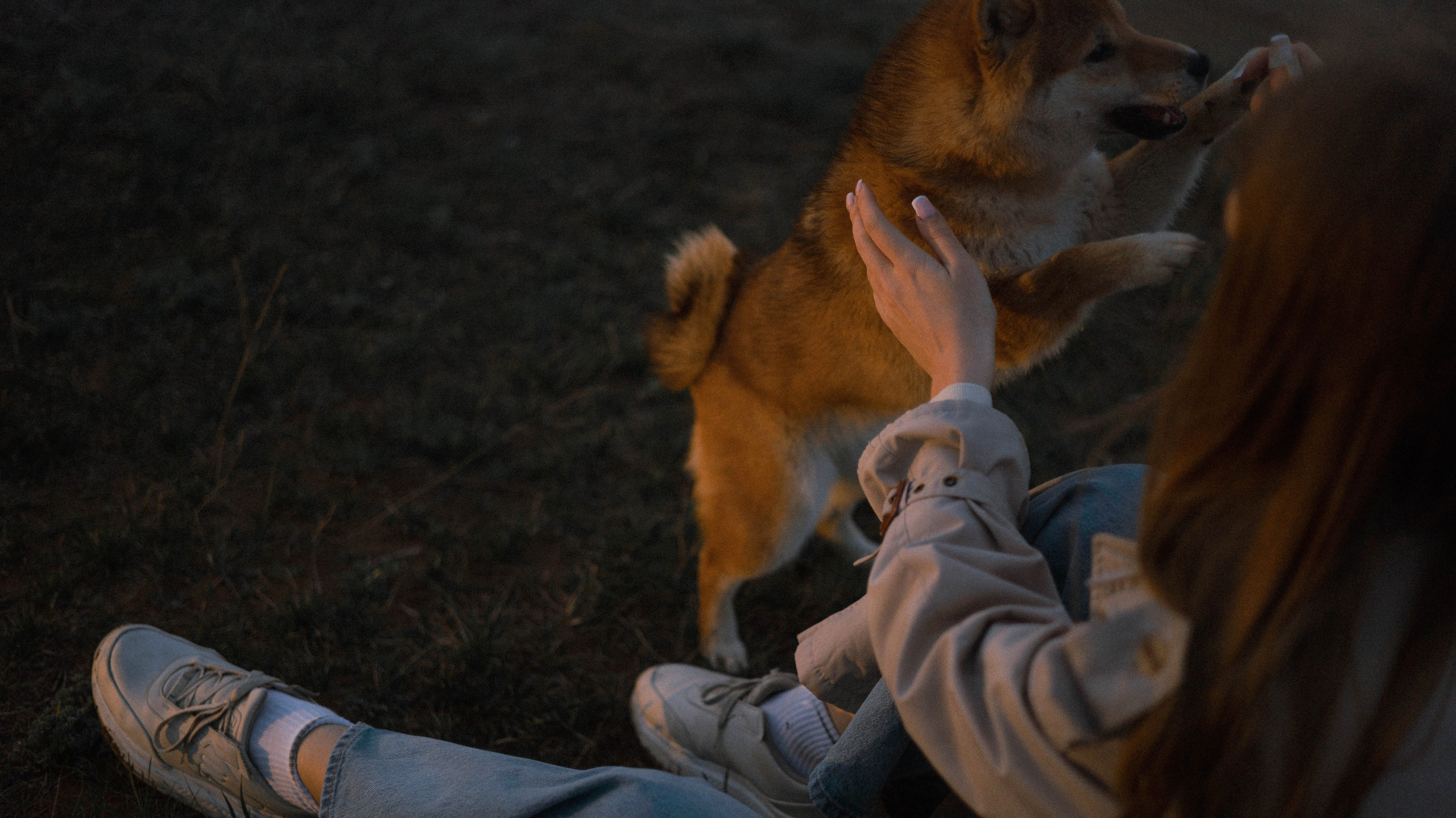 Аня и Шани. Фотограф-анималист Богданова Полина