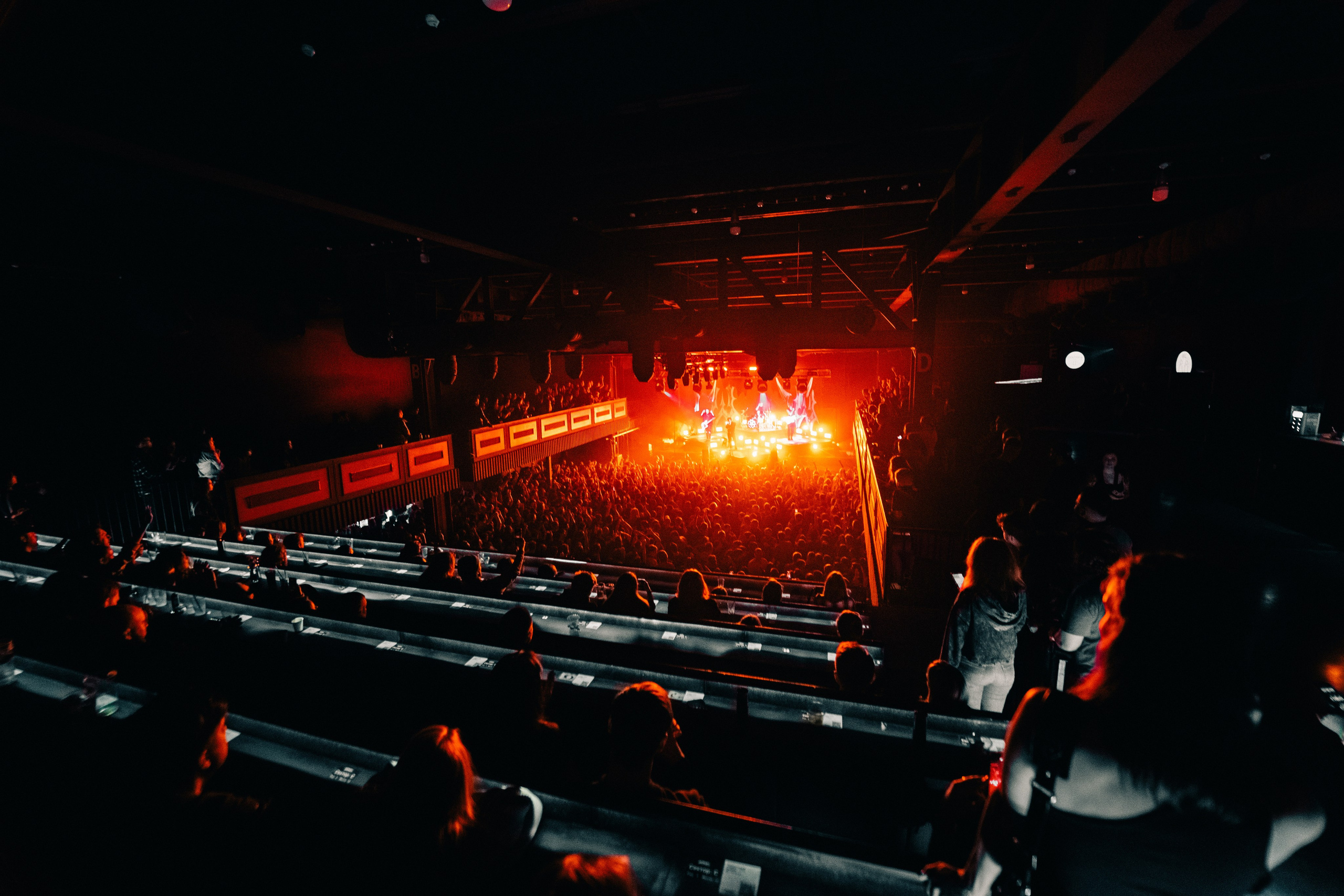 WILDWAYS. PASHAHARCE PHOTOGRAPHER & VIDEOGRAPHER