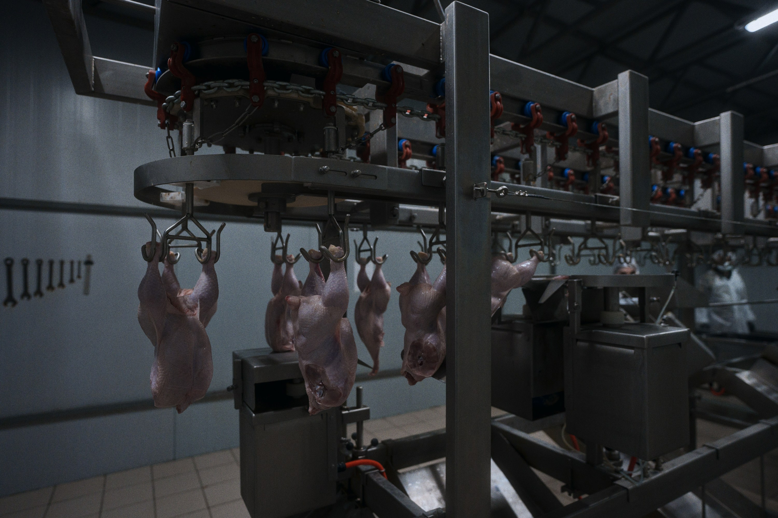 Can you tell a green field from a cold steel rail?. Фотограф Юрин Евгений