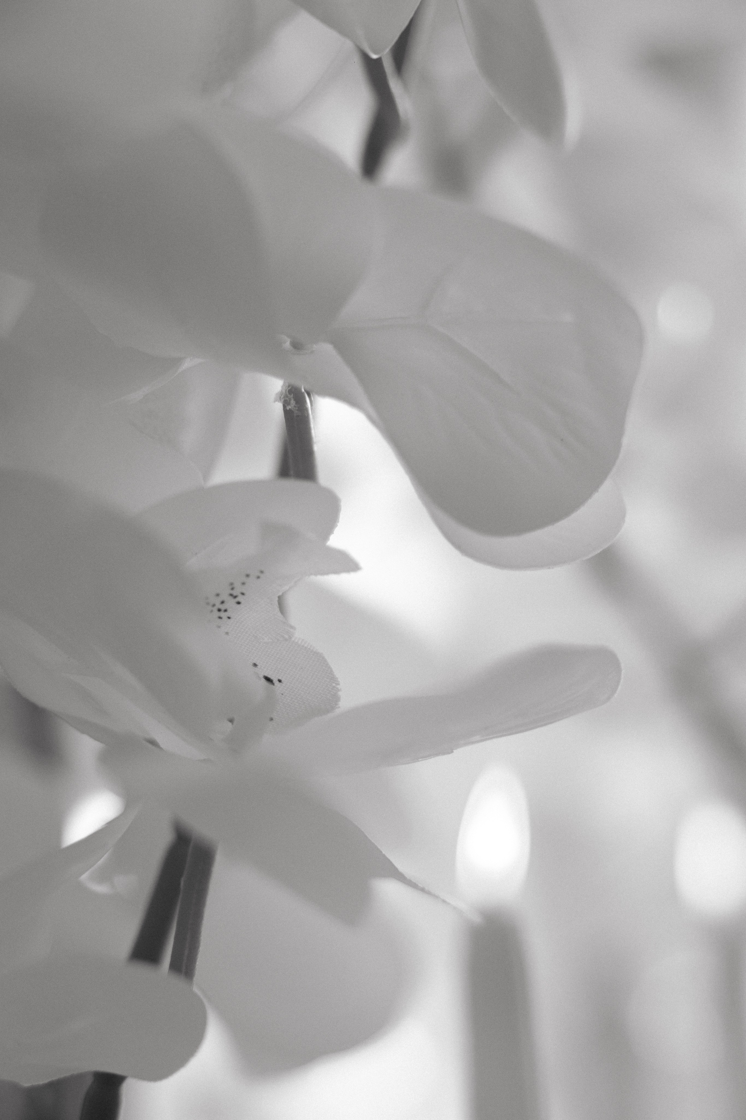 Daniela & Sergey. Вебер Юлия фотограф Ростов-на-Дону