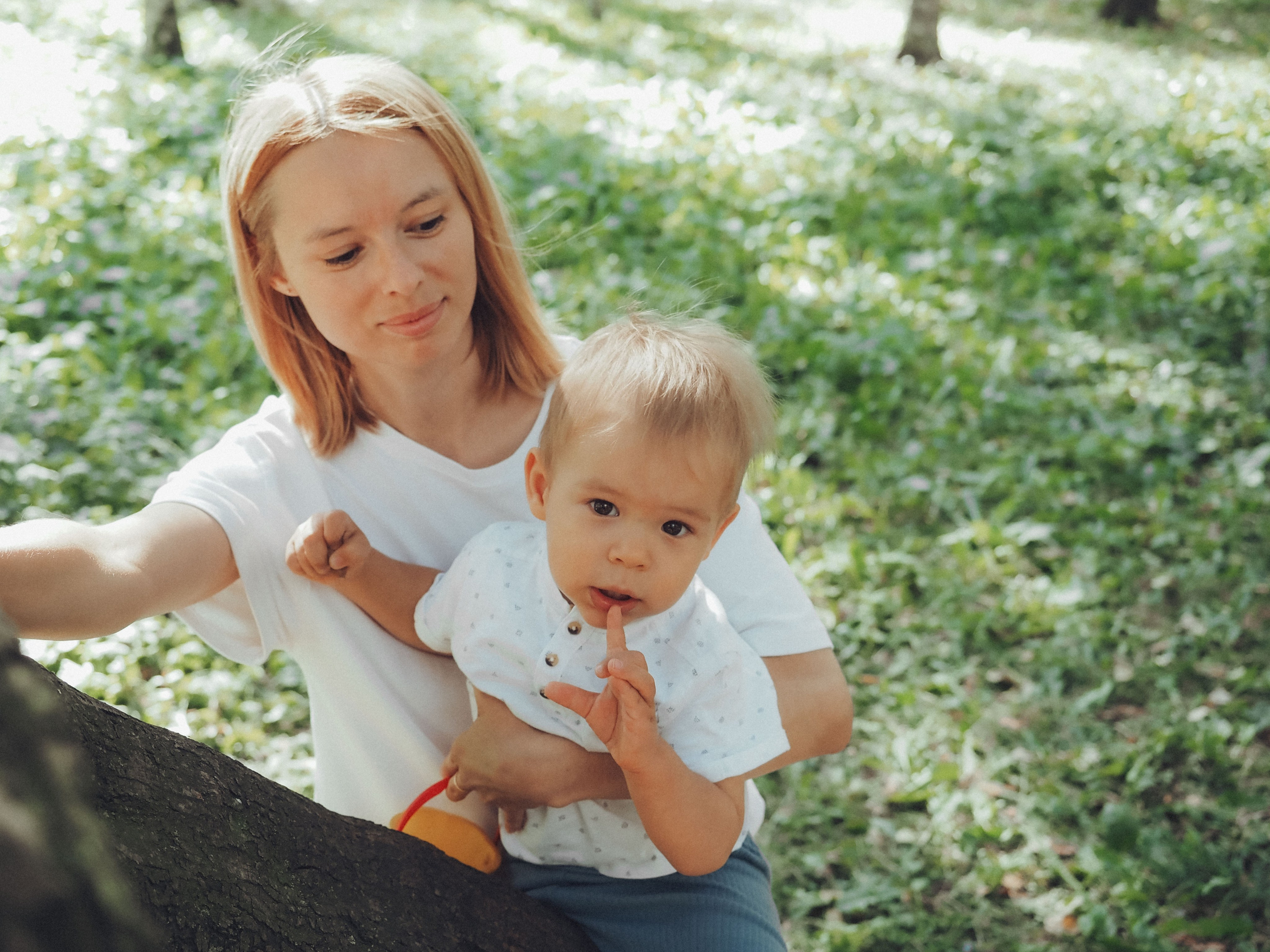Привет осень!. Фотограф в Москве — Сергей Люкшинов