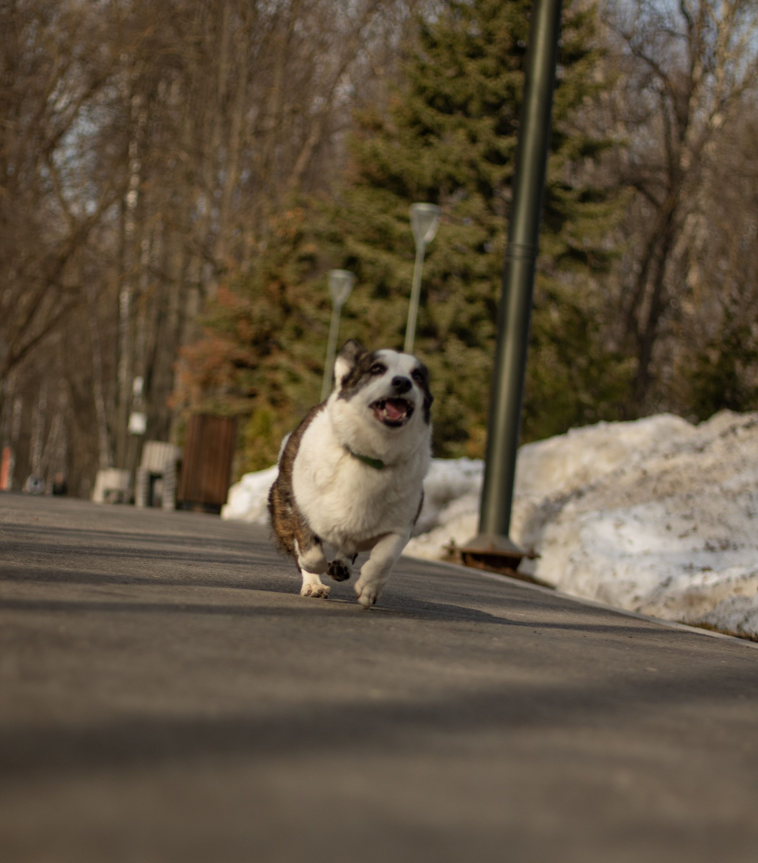 Юлия и Тэя. Катя Попова|ЛайфСтайл фотограф