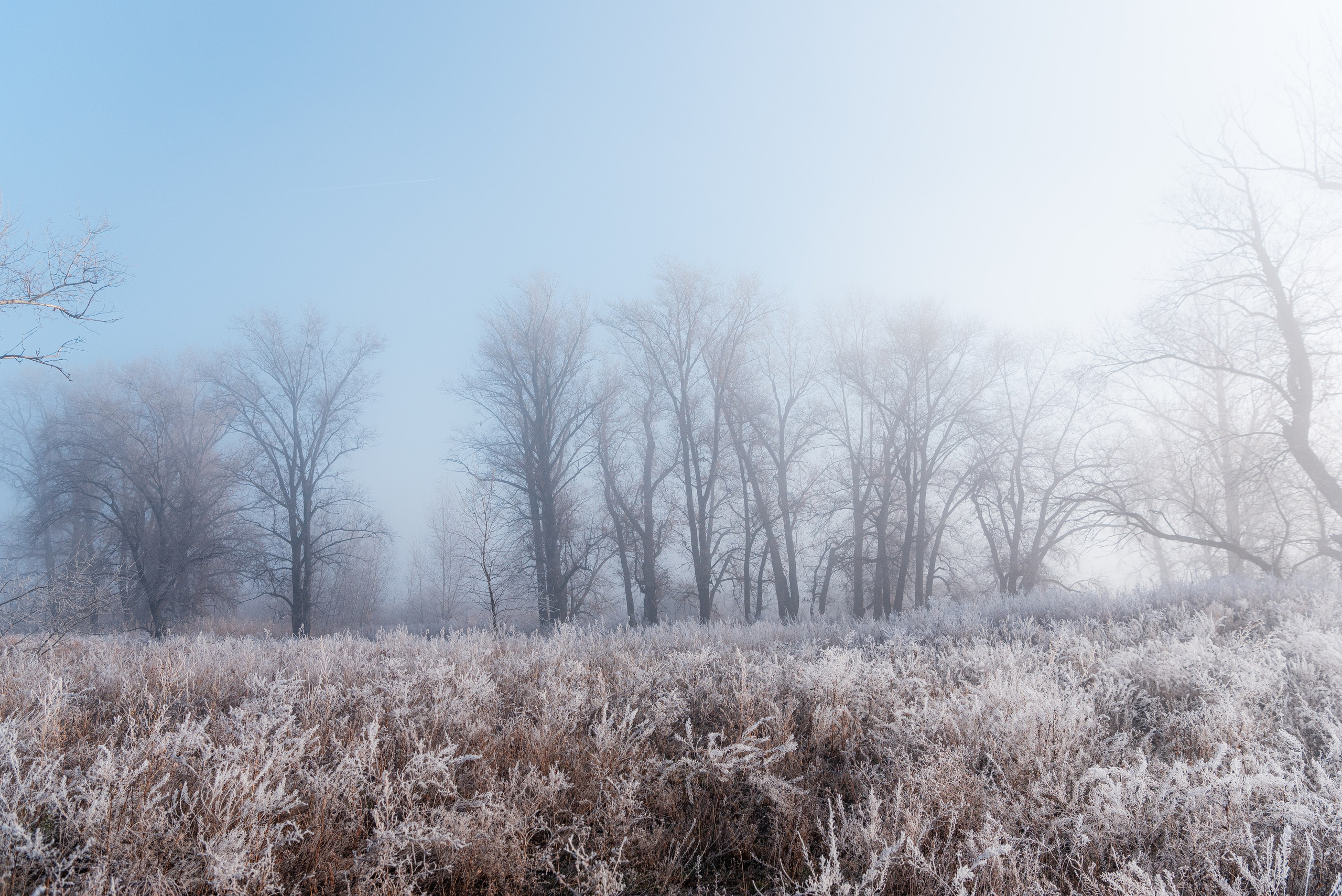 Фотографии утреннего тумана под Волжским. Фотограф в Волгограде и Волжском Александр Горбань