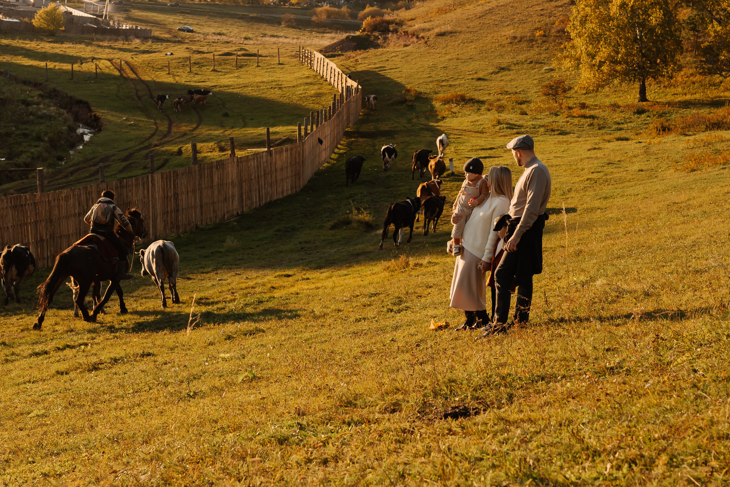 Андрей и Дарья. СВАДЕБНЫЙ ФОТОГРАФ КРАСНОЯРСК