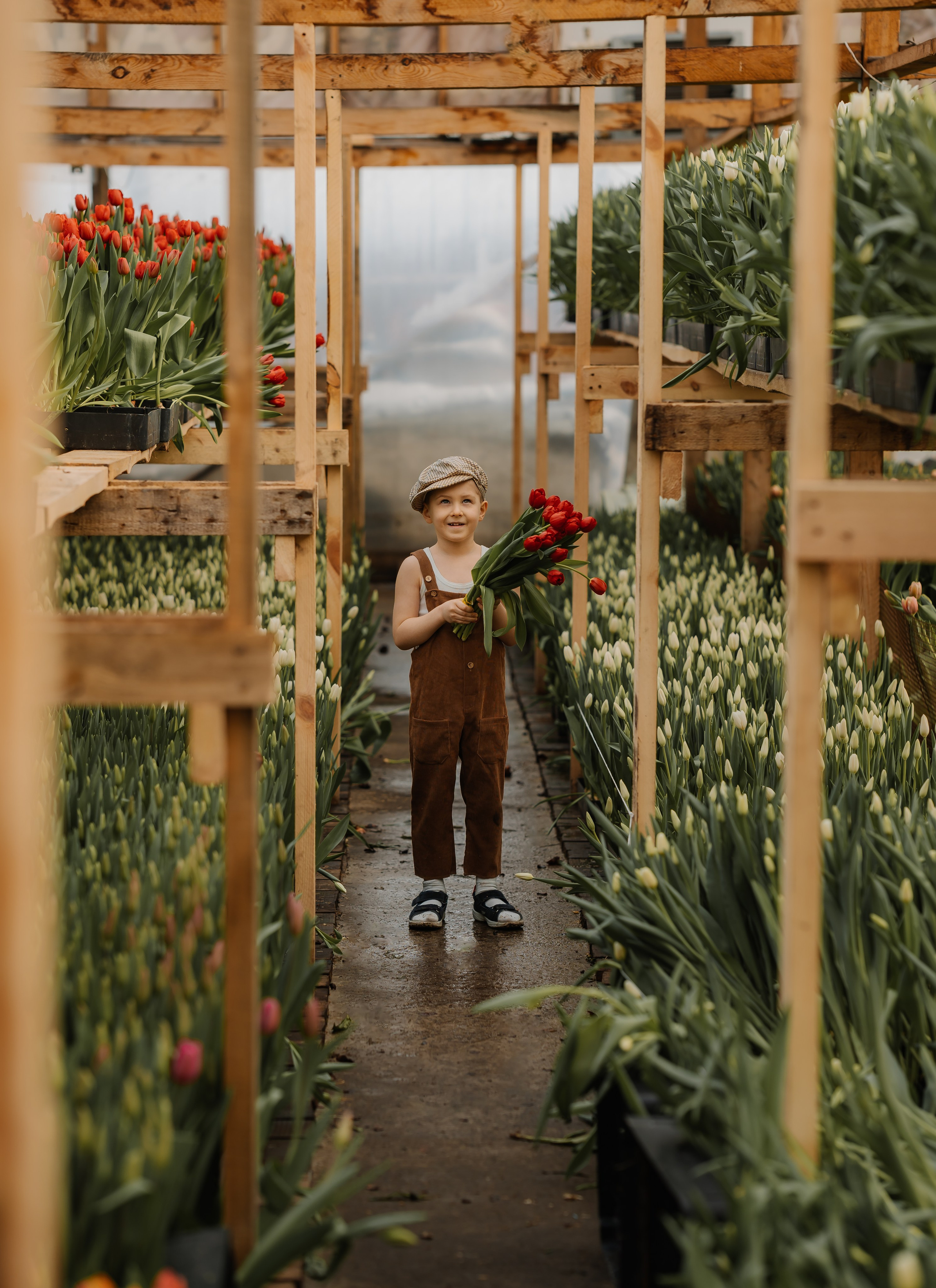 Мальчишки в тюльпанах. СВАДЕБНЫЙ ФОТОГРАФ КРАСНОЯРСК