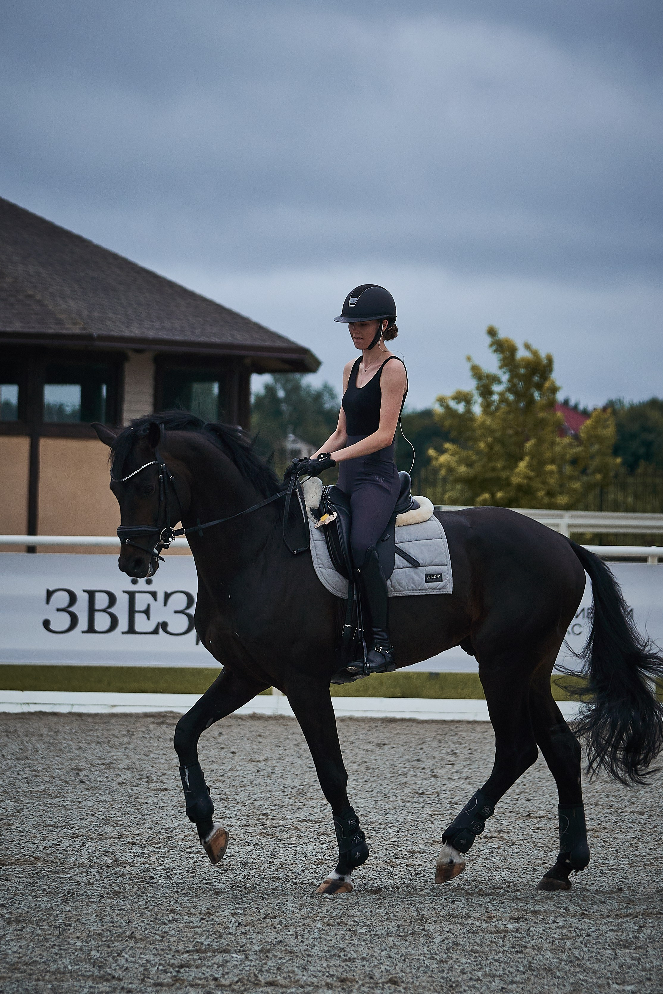 Анна и Наполи. Фотосессии с лошадьми в Москве, Новосибирске