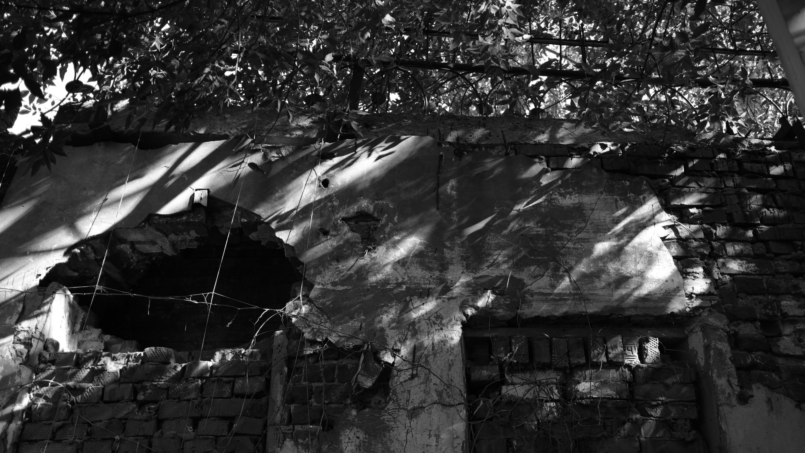 Казань. LIYALEE PHOTO