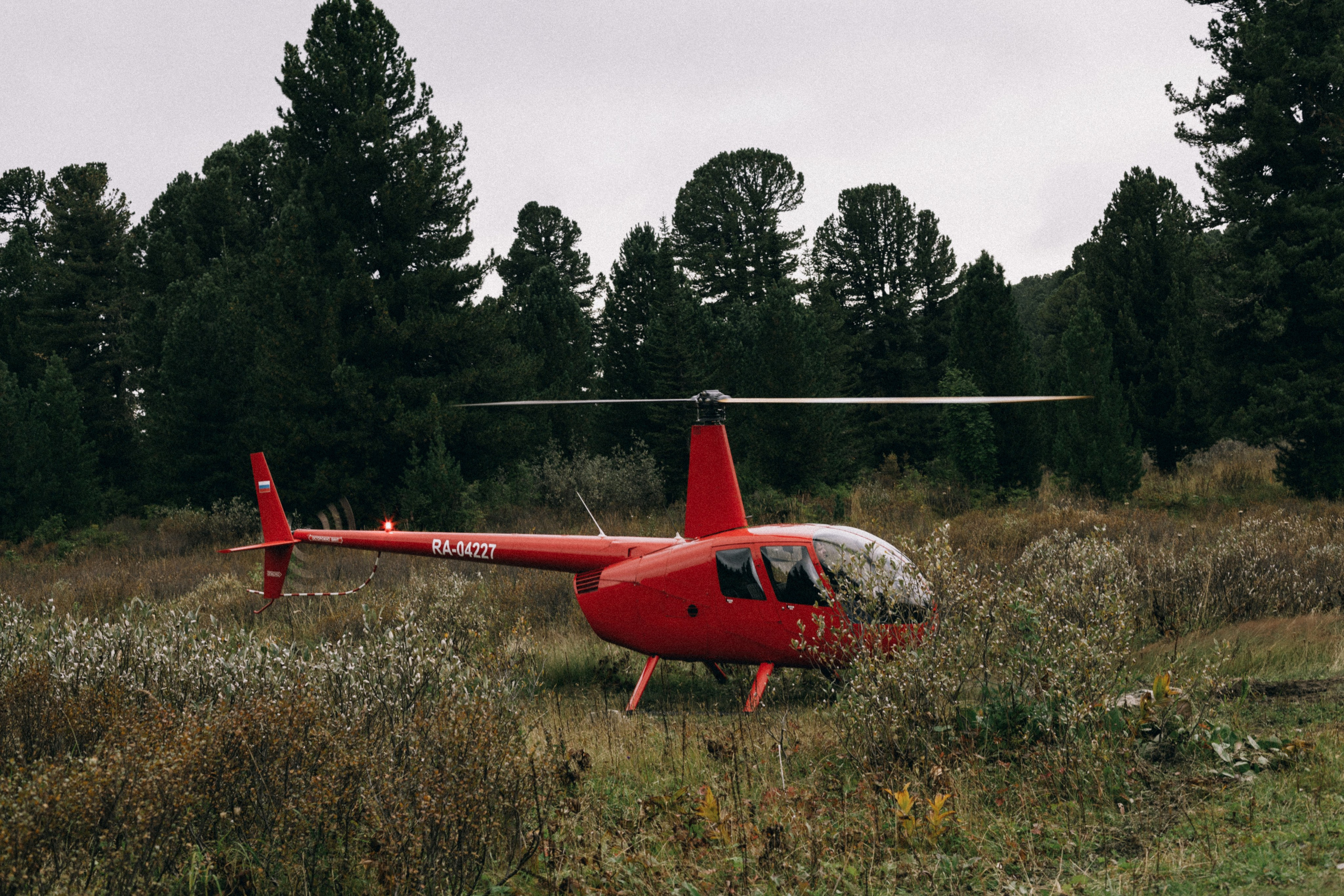 Алтай, природа и эстетика. Александр Чернин. Семейный и событийный фотограф
