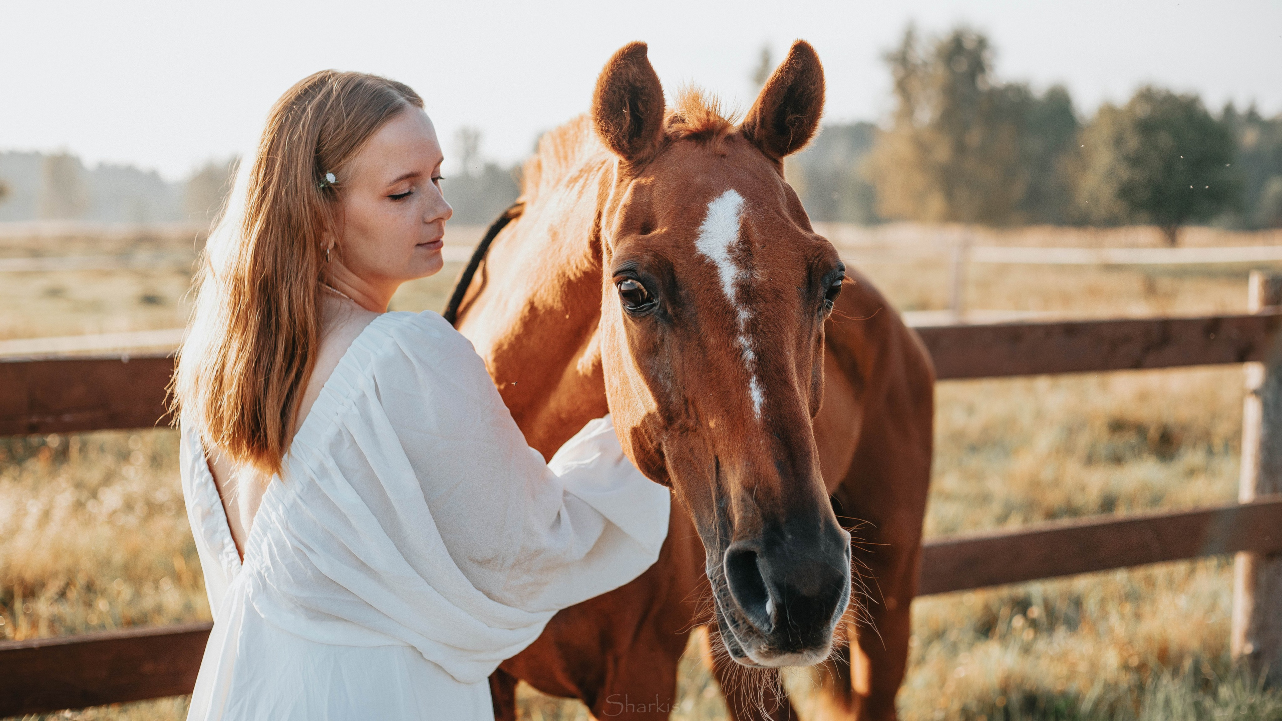 Аня и Гас. Главная
