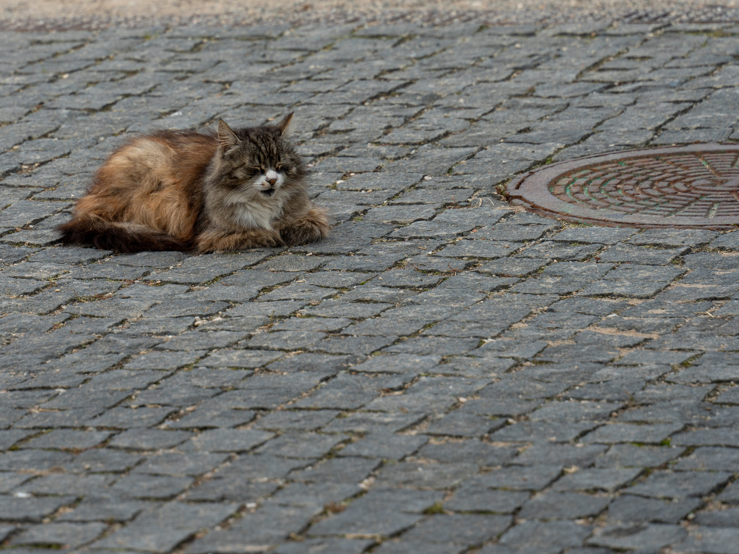 20250921 Таганка-Курская. Дмитрий Ремизов. Фотография, как хобби