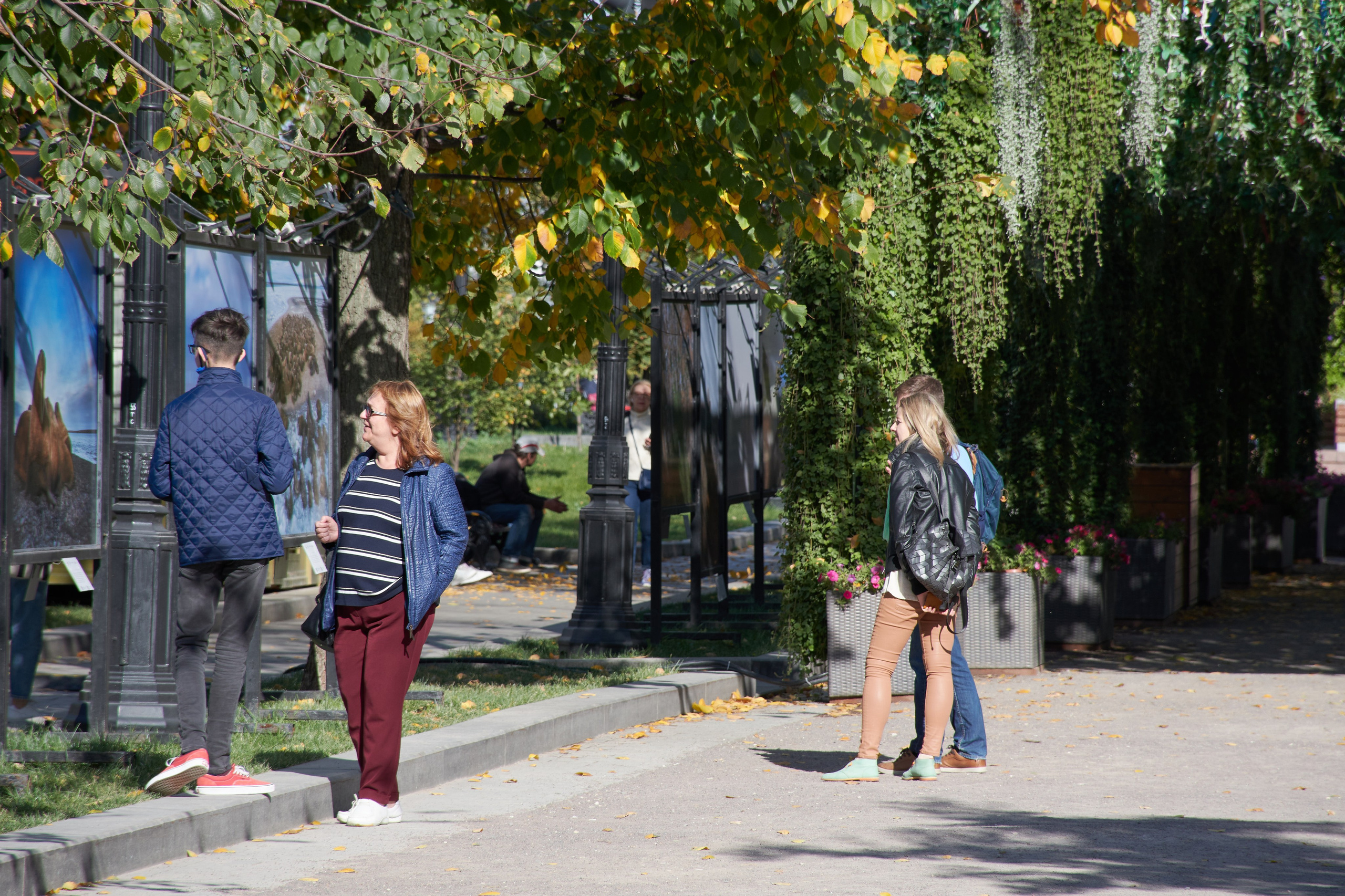 20201004 Бульварное кольцо. Дмитрий Ремизов. Фотография, как хобби