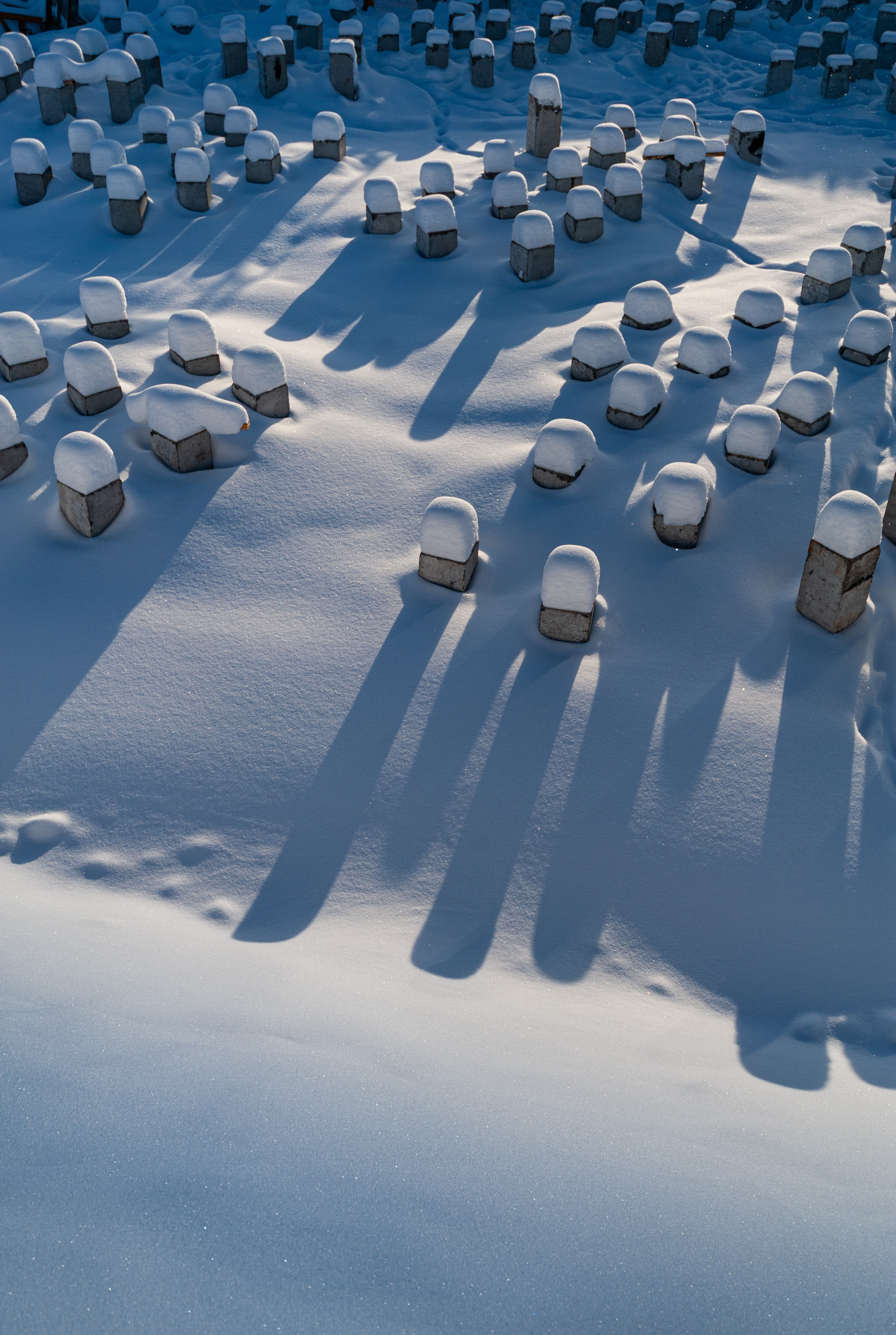 Ход работ. Репортажный фотограф в Ижевске Константин Ившин