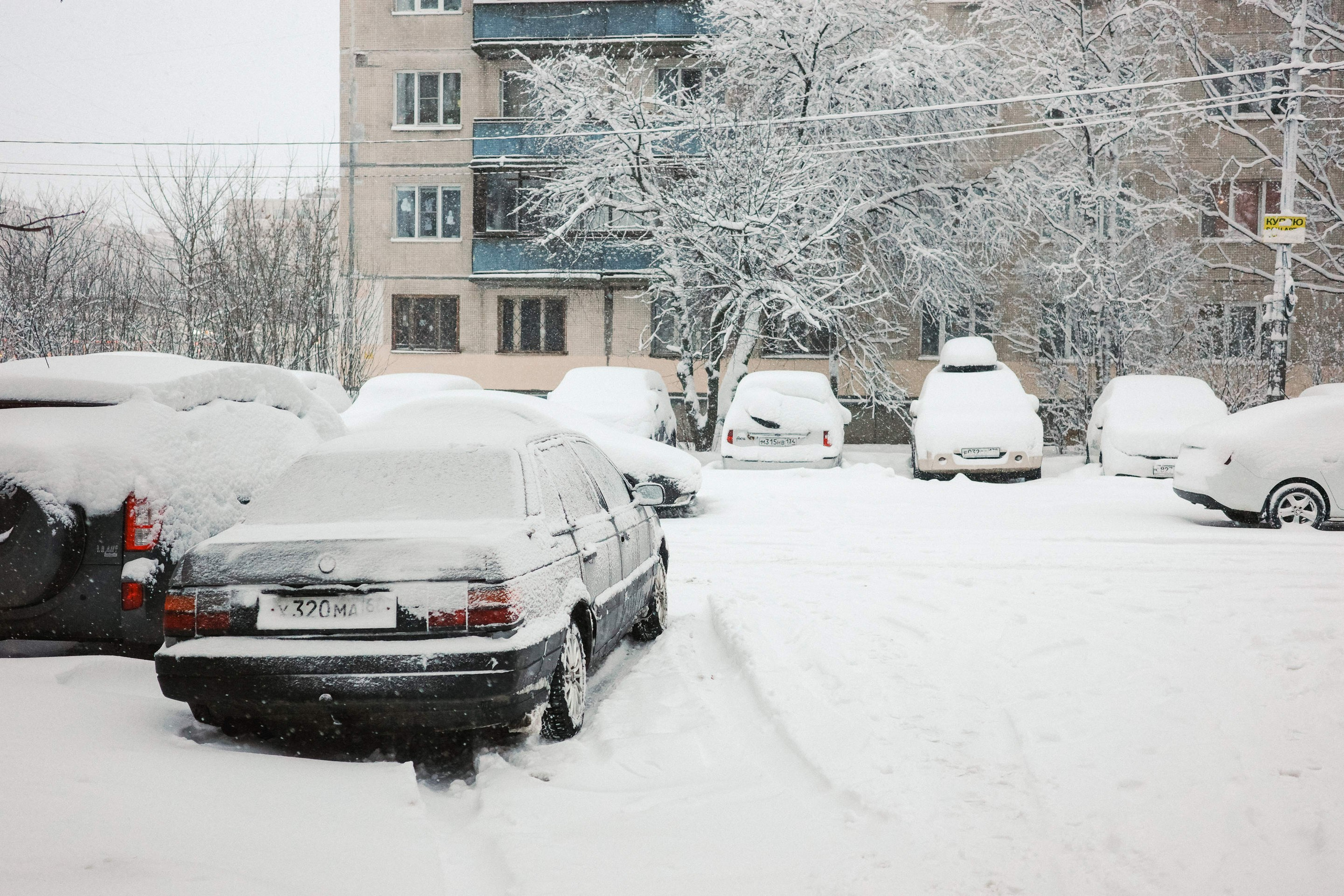 2025.01. Фотограф Алексей Алексеев