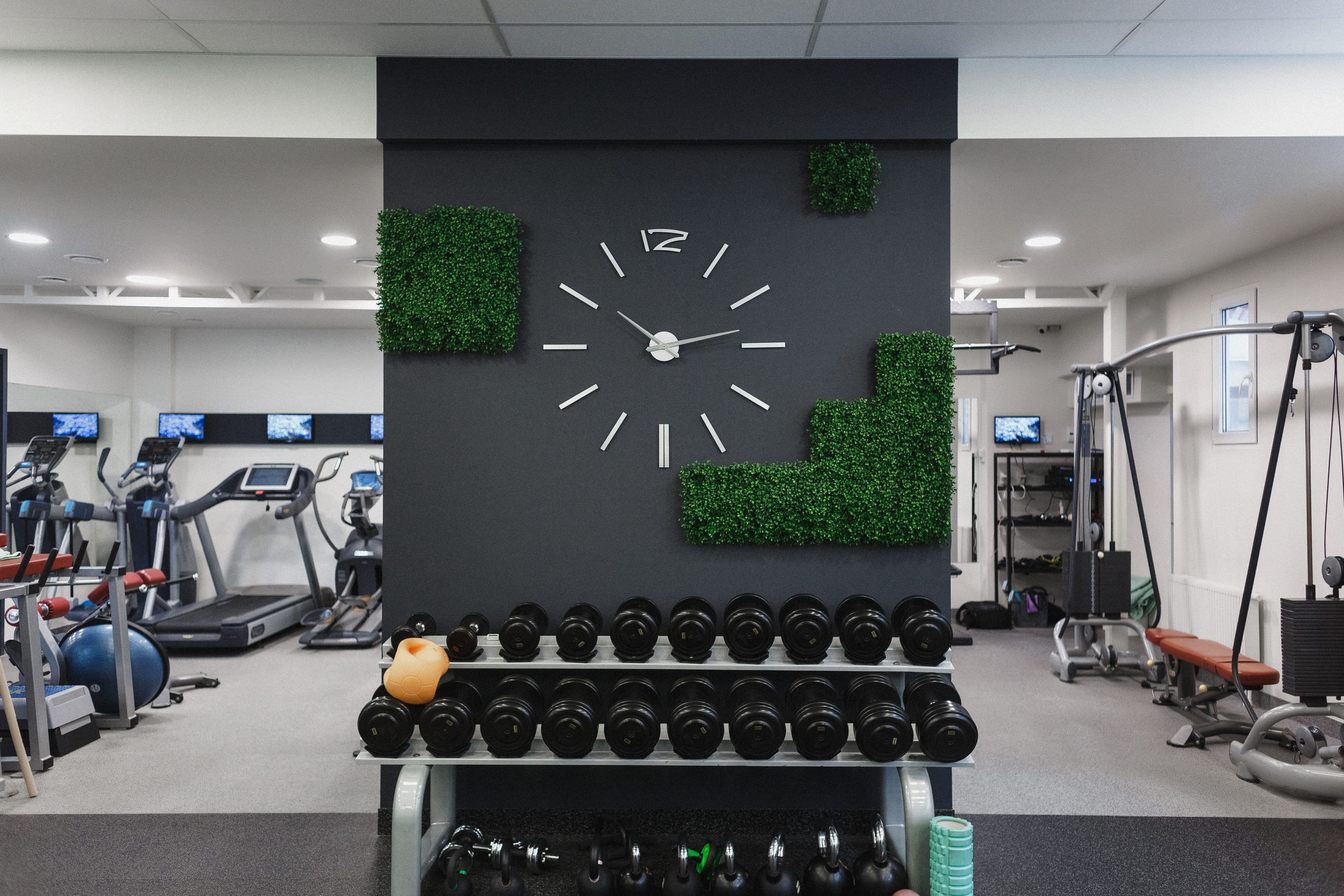 Забота о себе: День Открытых Дверей в Lady Fitness Таганрог. Свадебный и семейный фотограф в Таганроге Бакарюк Антон