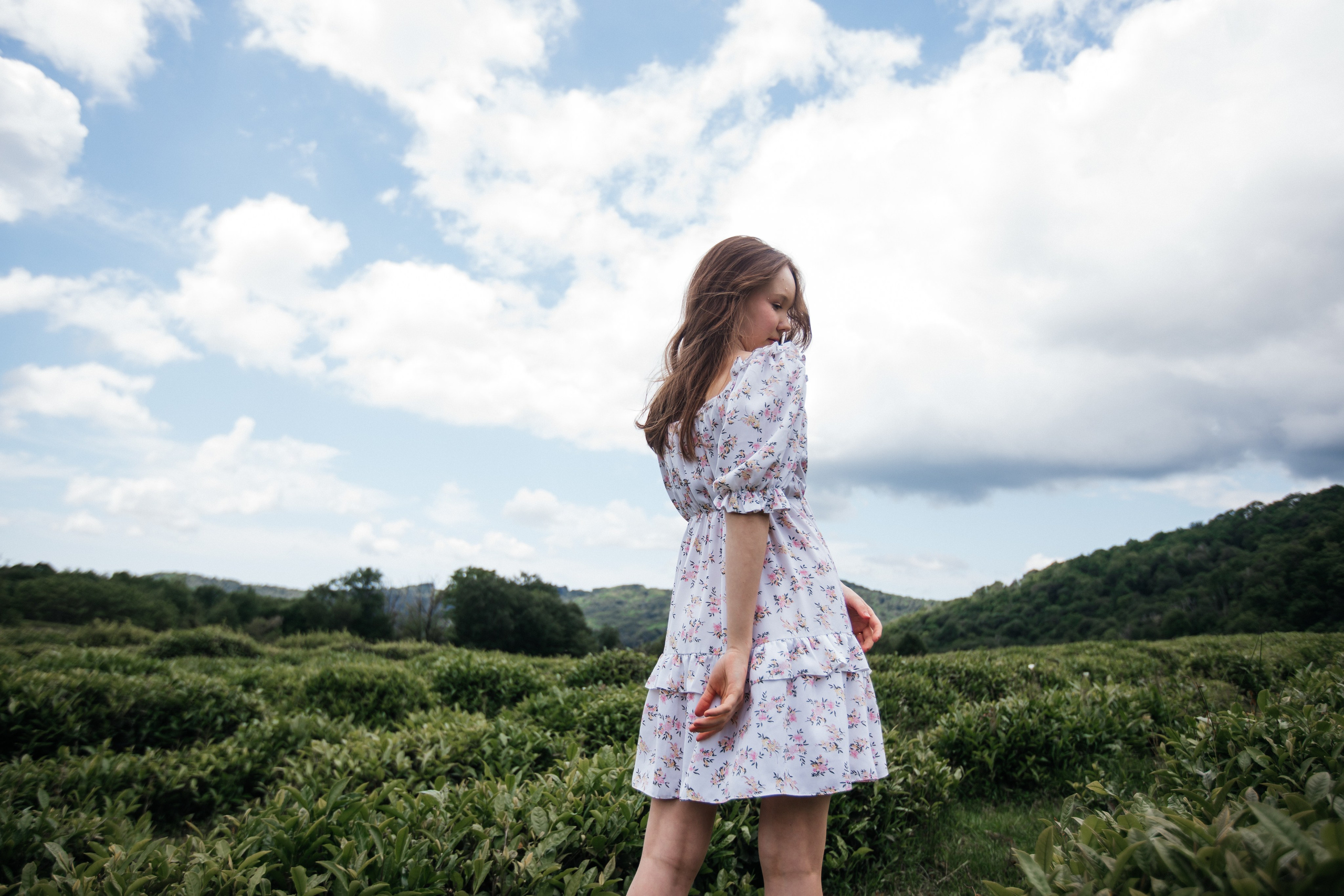 Tea plantation. Efimova Model Agency