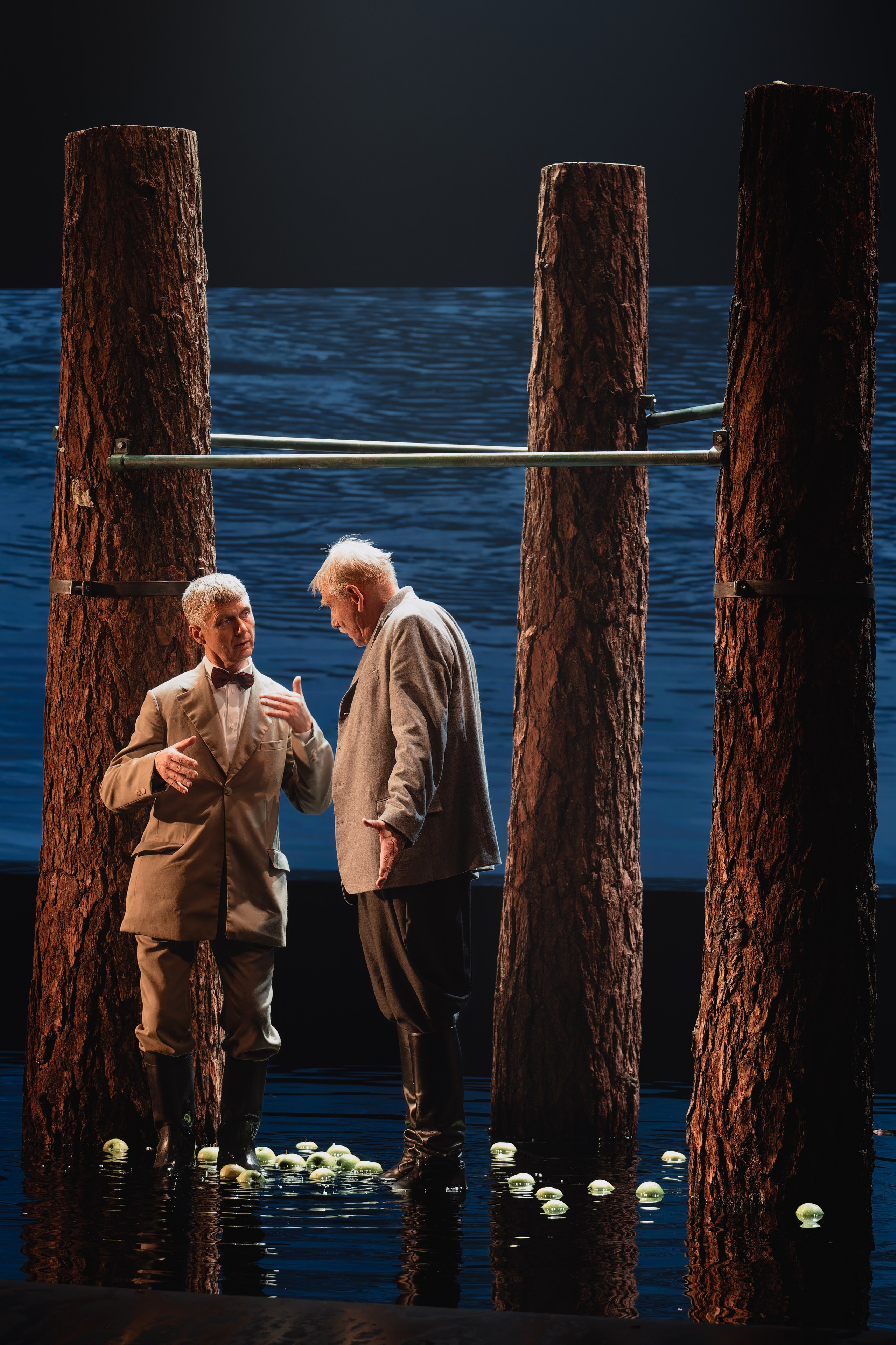 Театр Маяковского: Лес. Сайт фотографа Сергея Абрамова