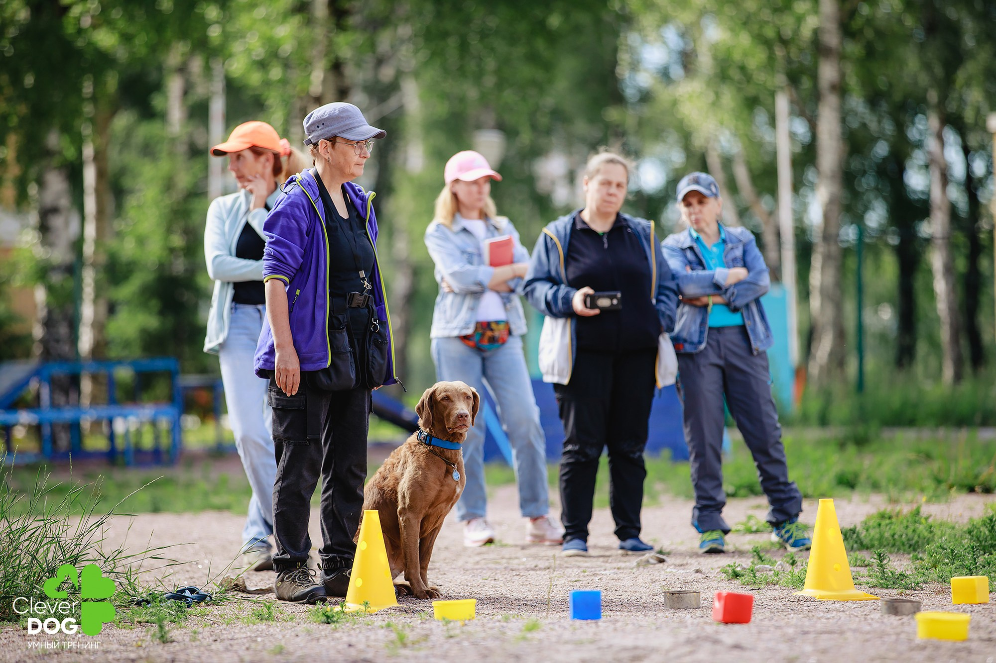 Семинар по поиску запаха с Иваном Ломовым, организатор CleverDog, СПб. Фотограф-анималист Mary Mart — Москва, Питер