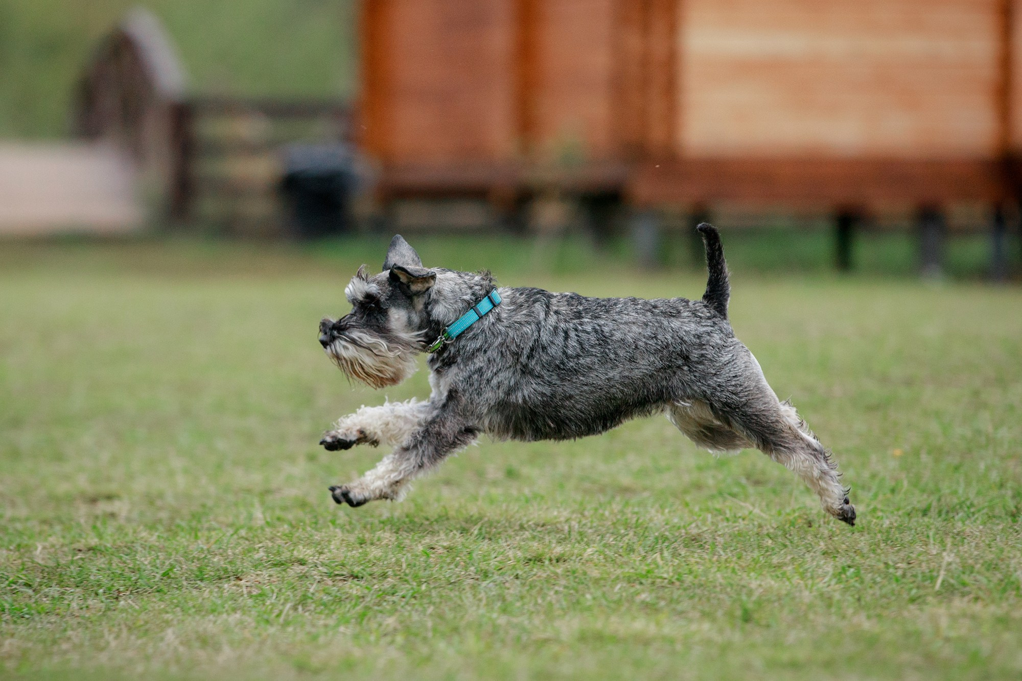 Лагерь по ОБД с Инной Баженовой. Фотограф-анималист Mary Mart — Москва, Питер
