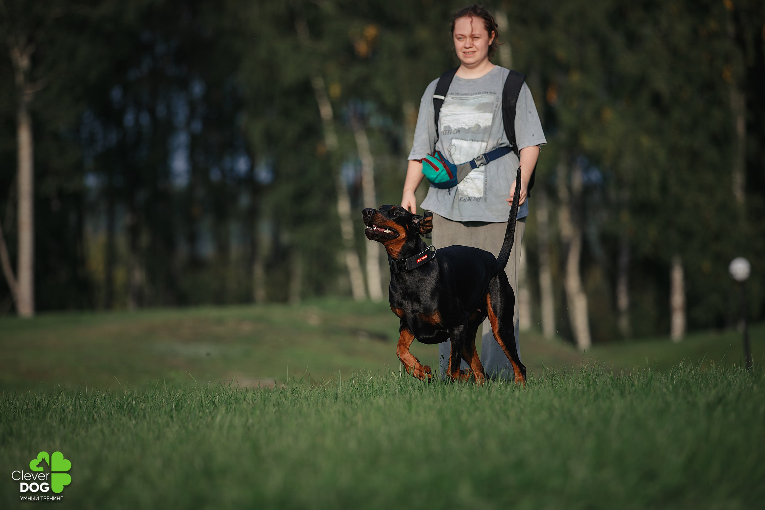 Кинологический лагерь CleverDog, 2024. Фотограф-анималист Mary Mart — Москва, Питер