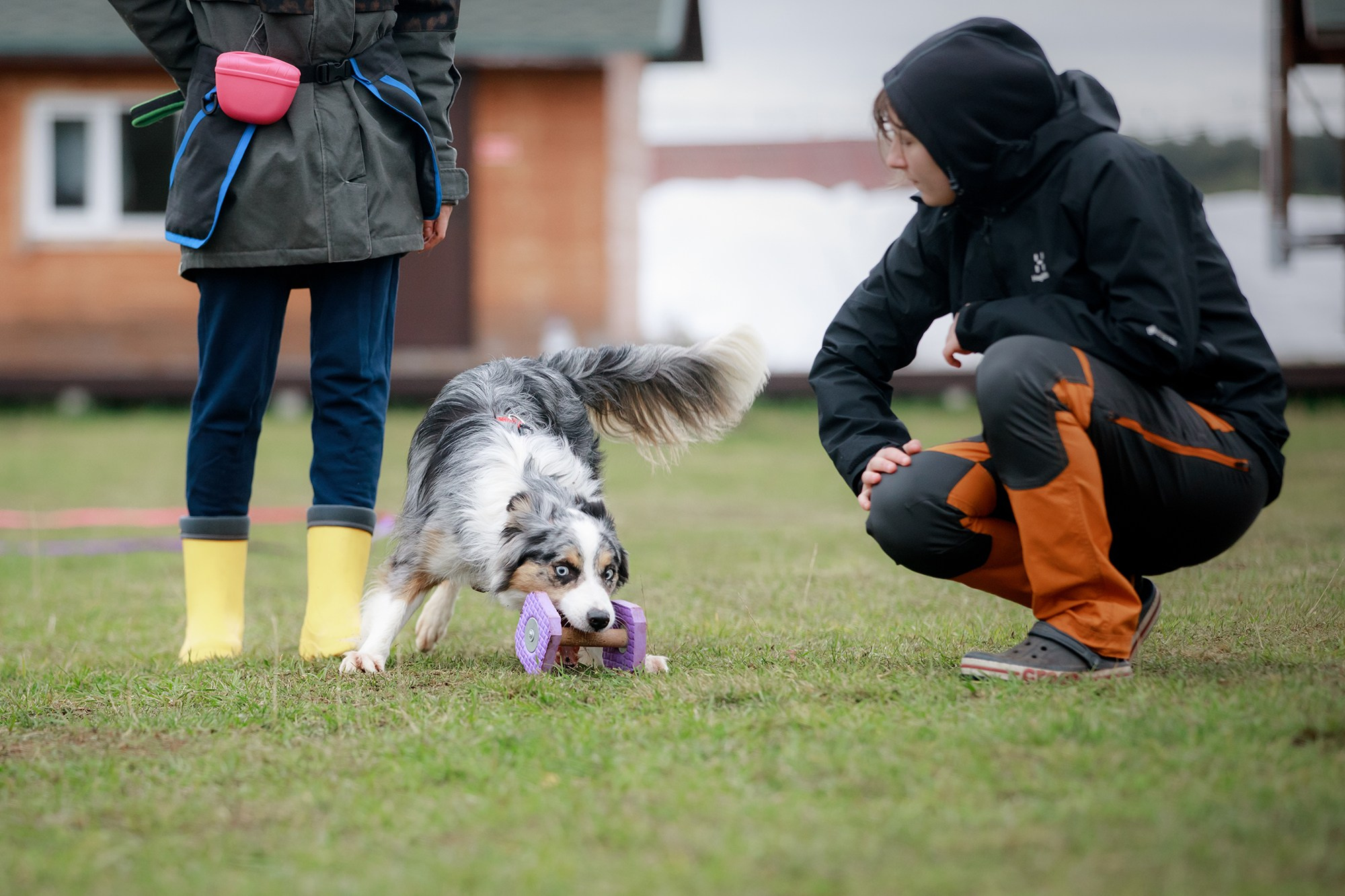 Лагерь по ОБД с Инной Баженовой. Фотограф-анималист Mary Mart — Москва, Питер