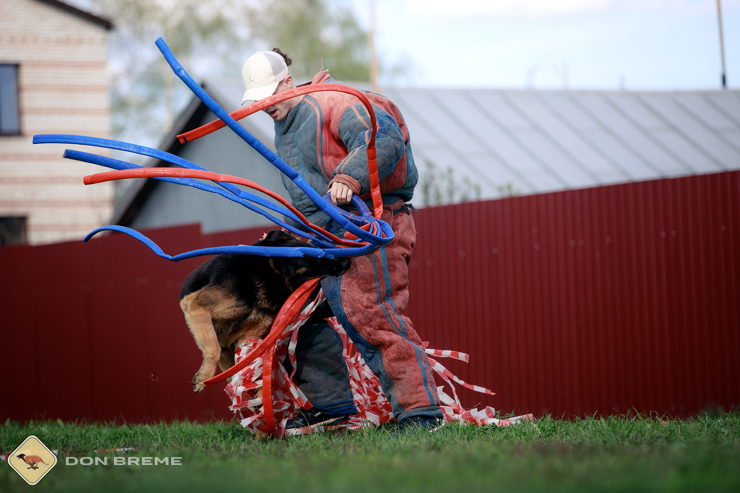Семинар для фигурантов, день 2. Фотограф-анималист Mary Mart — Москва, Питер