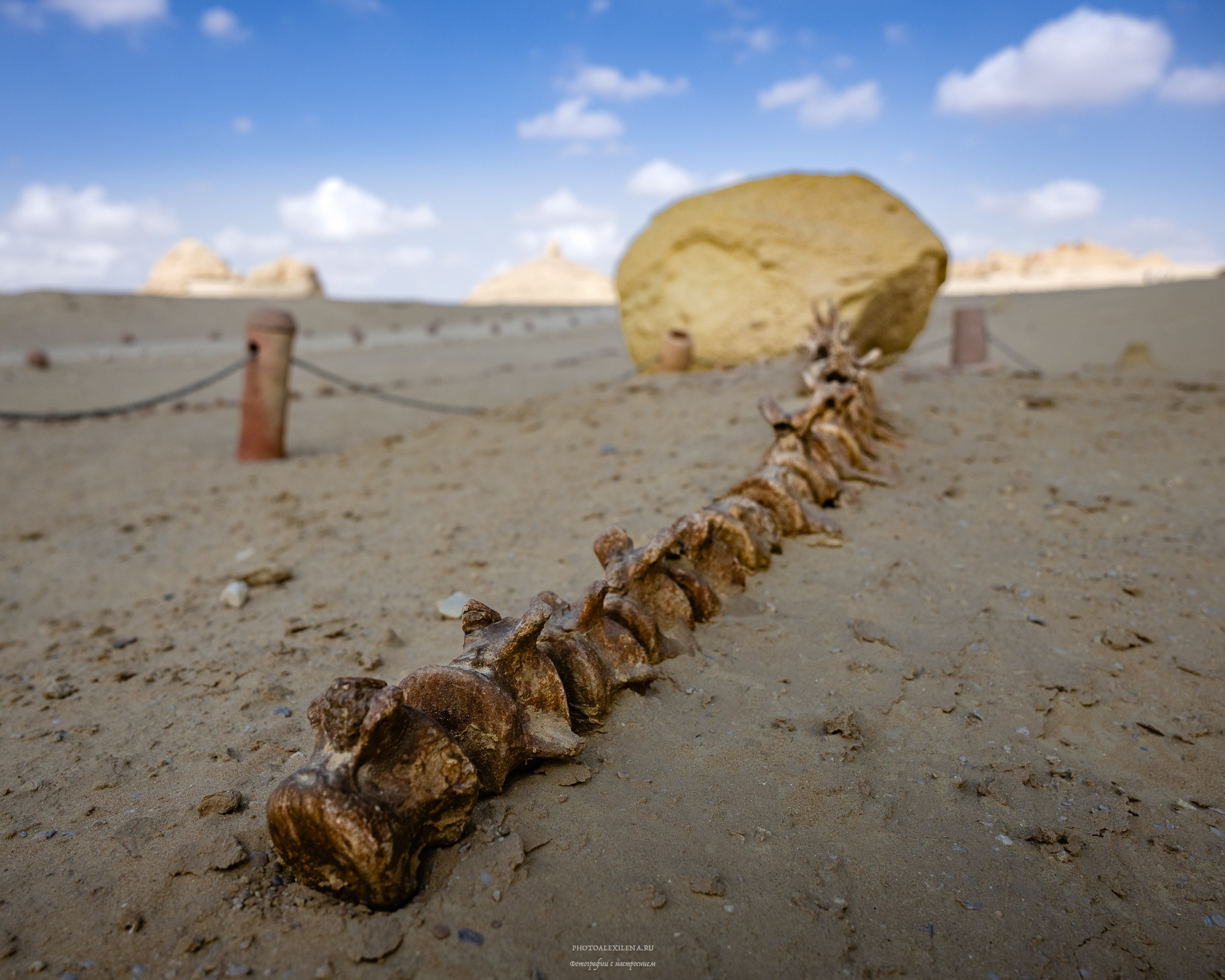 Снова в пустыню, за скелетами…. Авторские стильные фотокартины