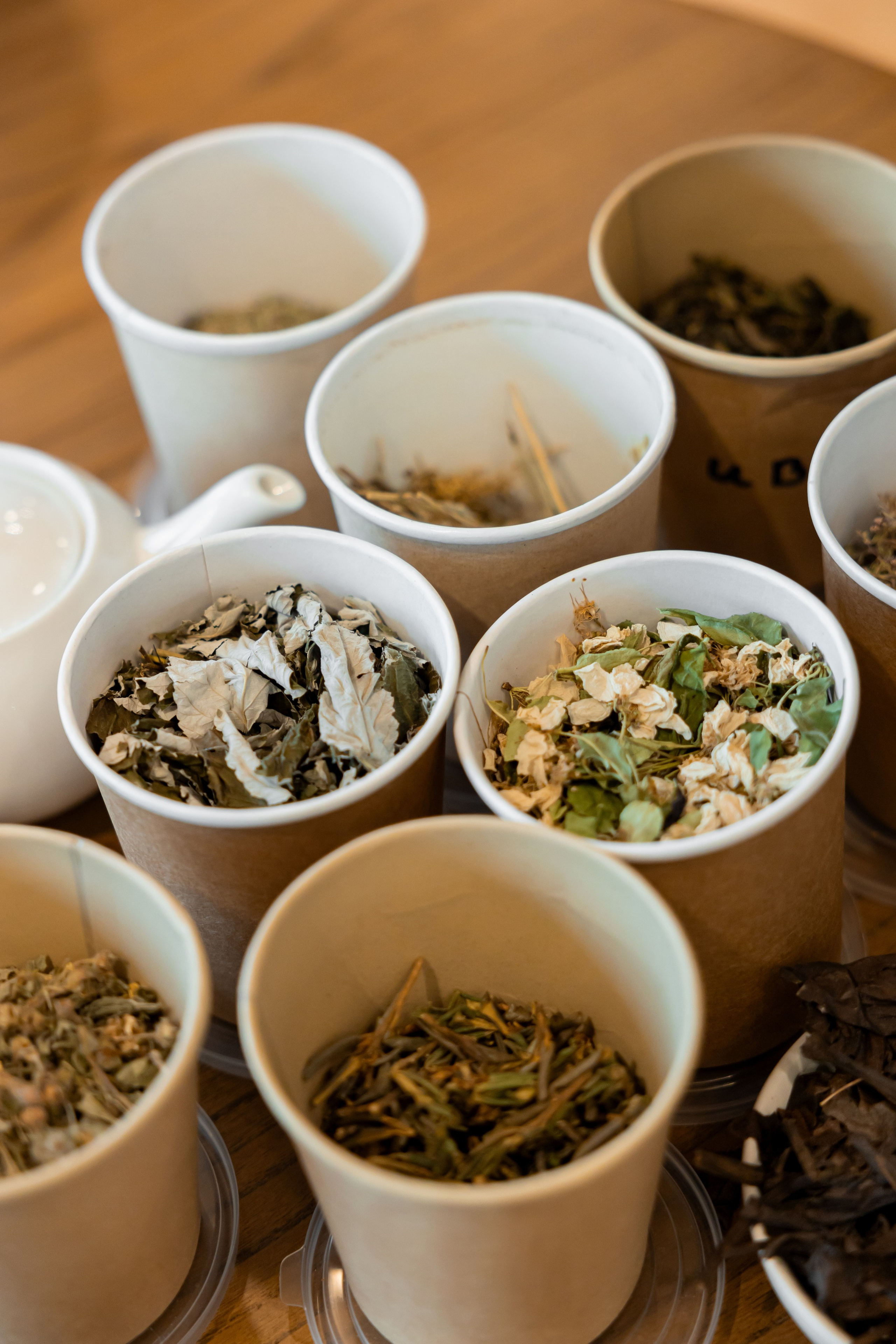 Алтай Бизнес-клуб «Новые Горизонты». Фотограф Москва Людмила Белова