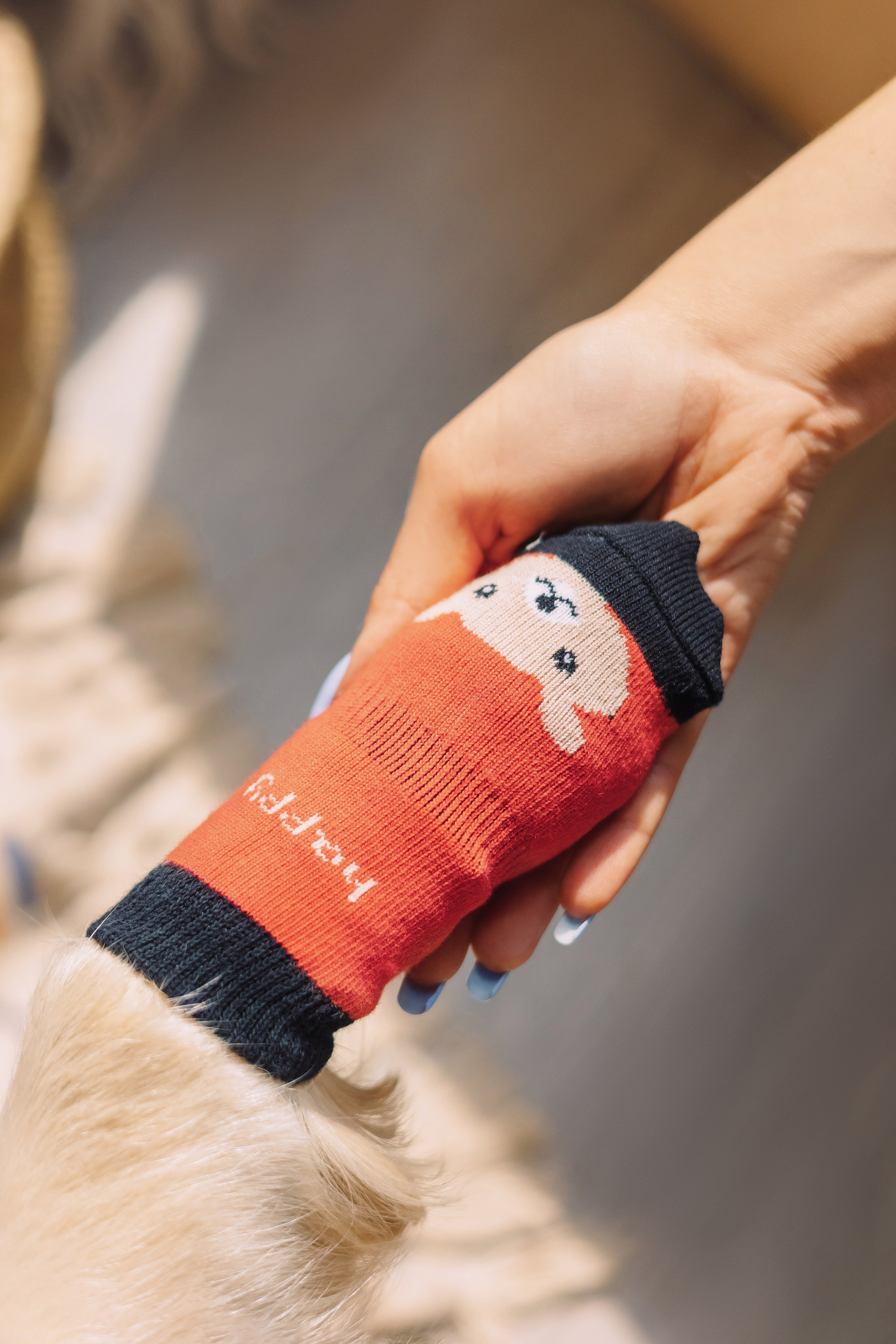 Магазин Friend of mine. Фотограф-анималист Елена Радченко, Москва