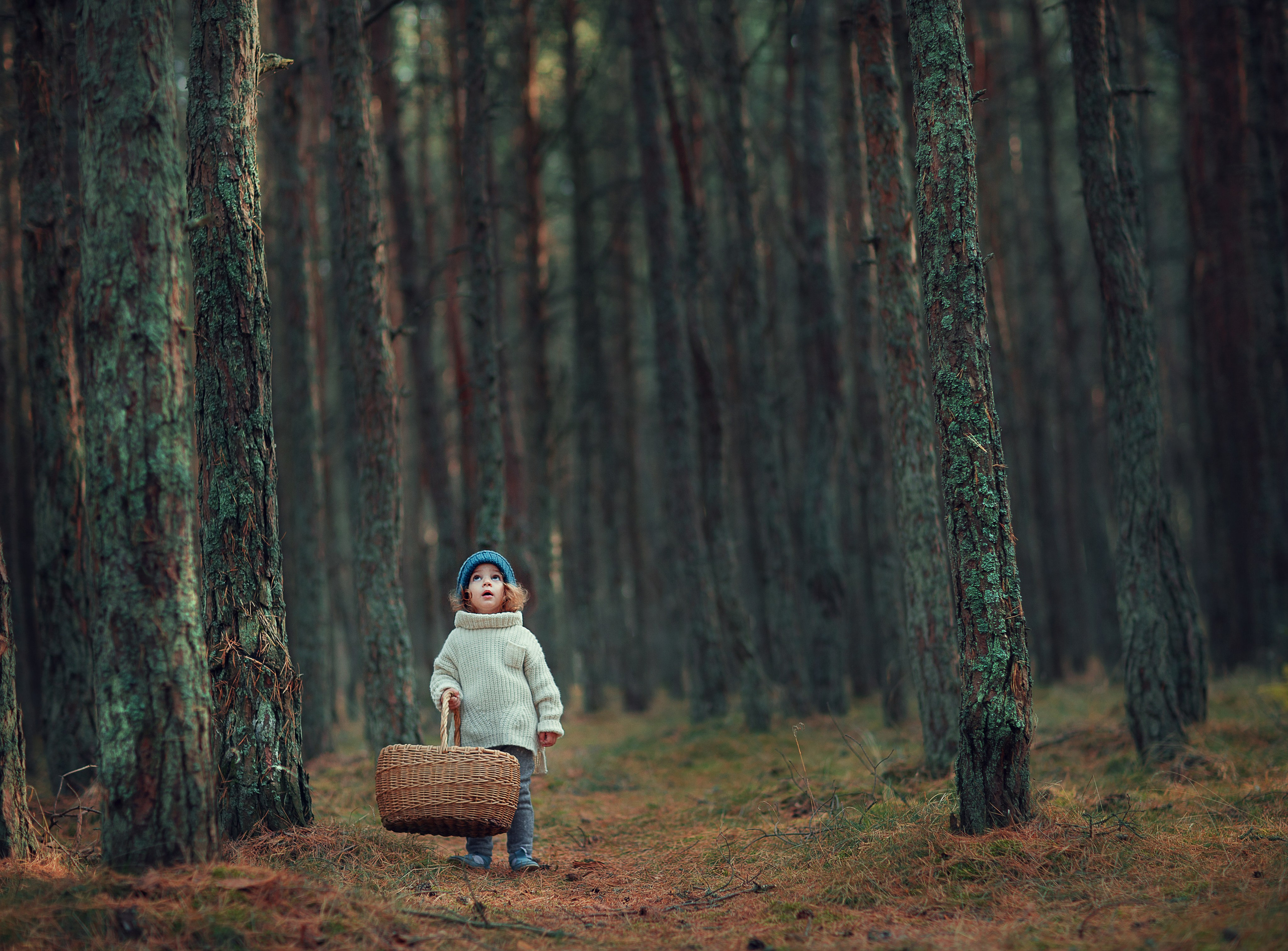 Портфолио. Карнеева Елена. Детский, семейный фотограф