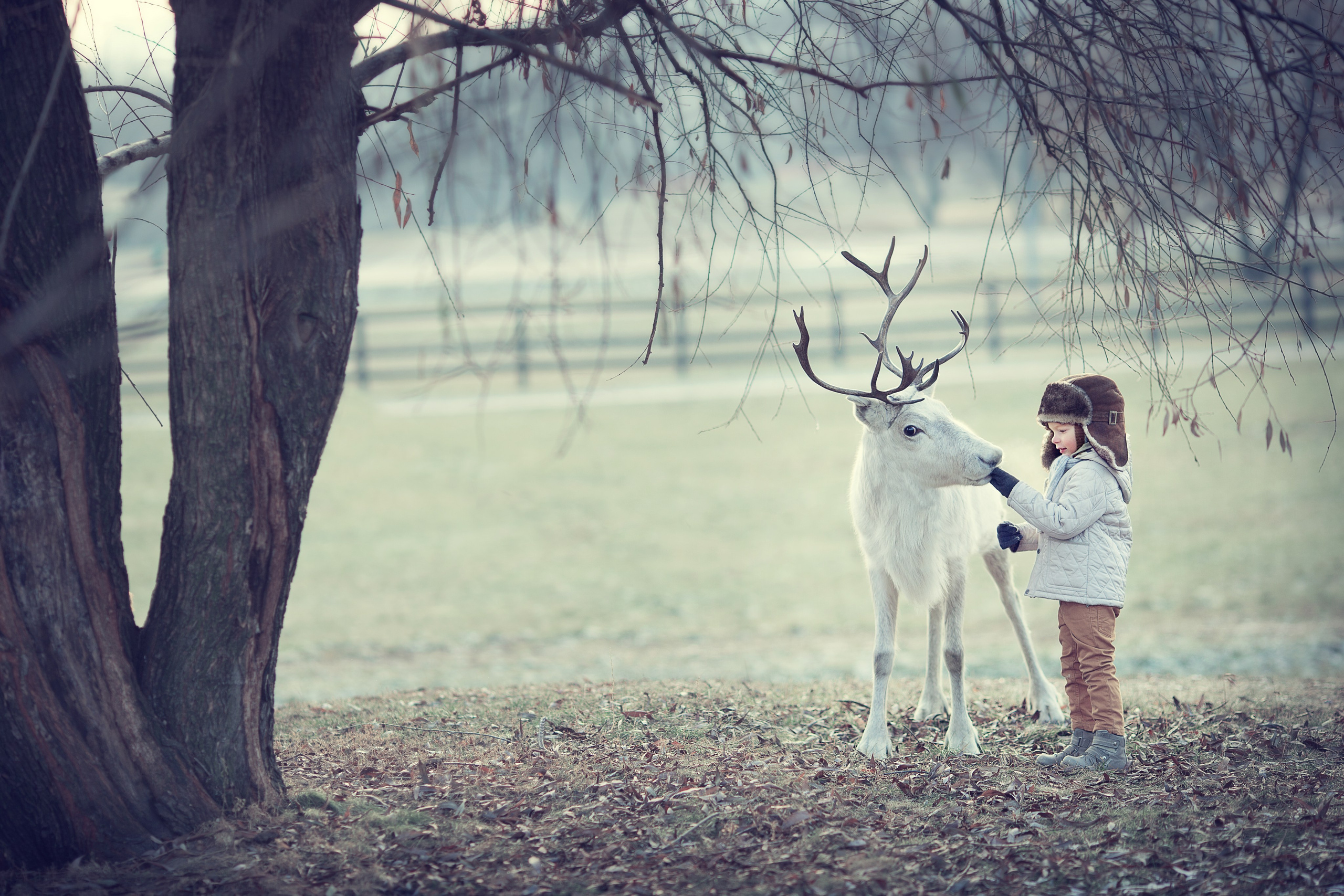 Портфолио. Карнеева Елена. Детский, семейный фотограф