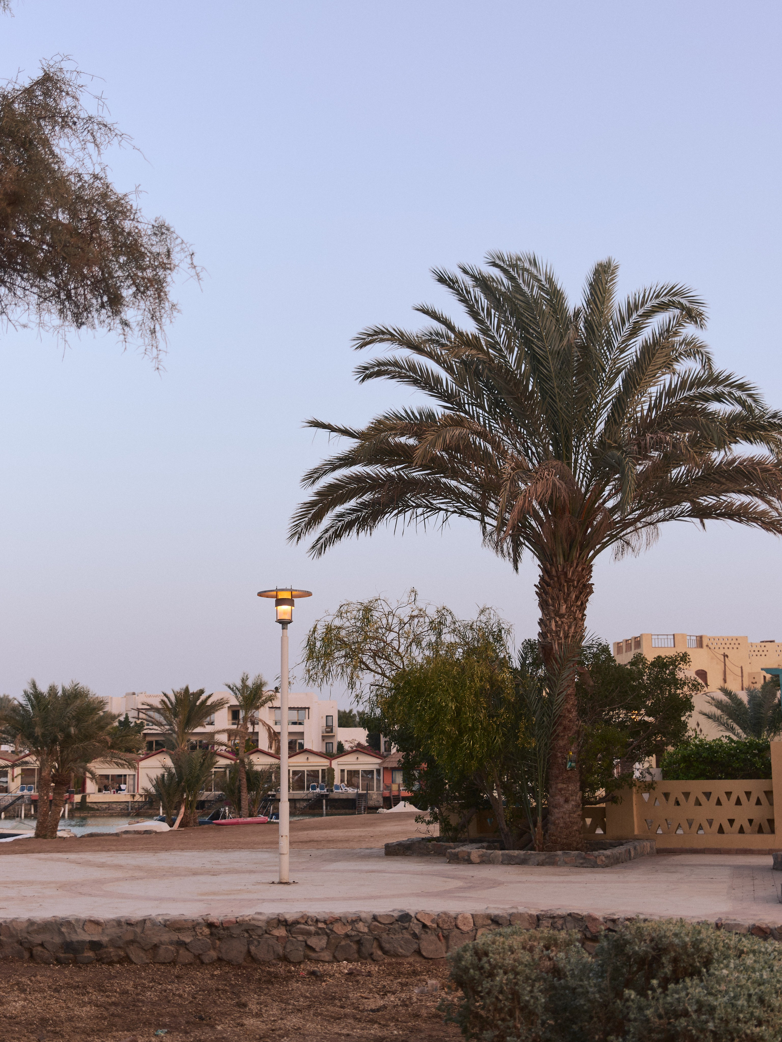 Улицы. Jorgis Talè — photographer, kind person, teacher of arts and other mag