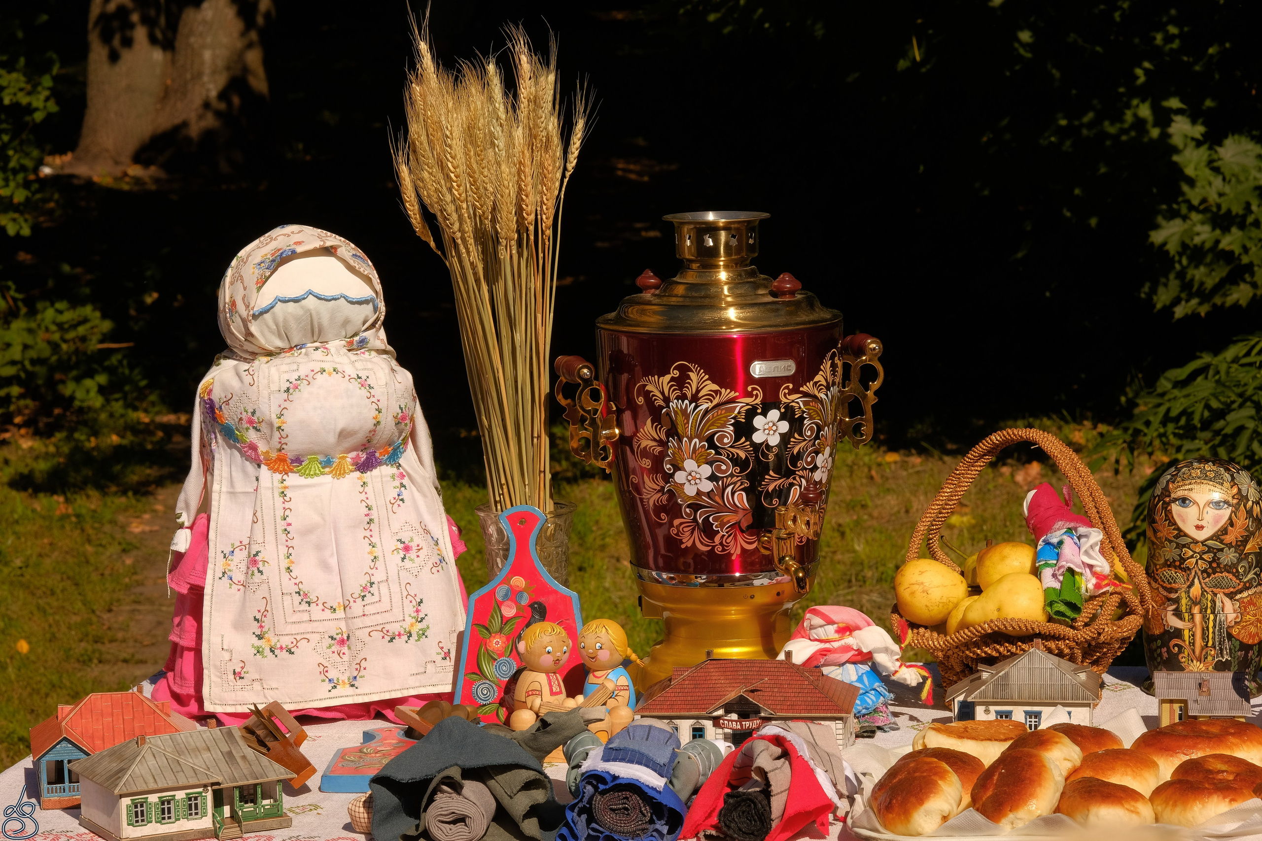 День Тульской губернии. Лиза Рязанцева